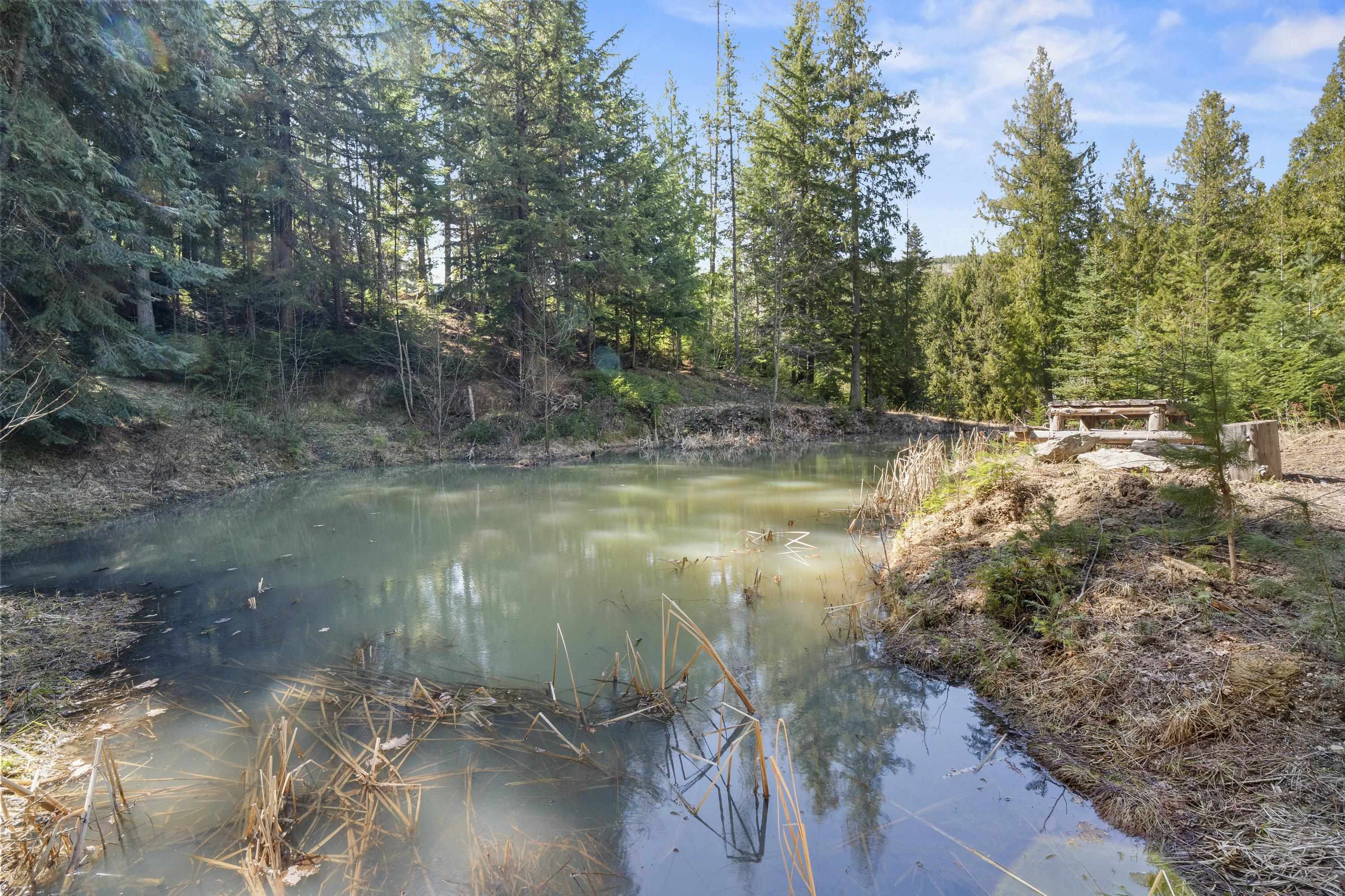 341xx N Blanchard Creek Rd - Photo 12