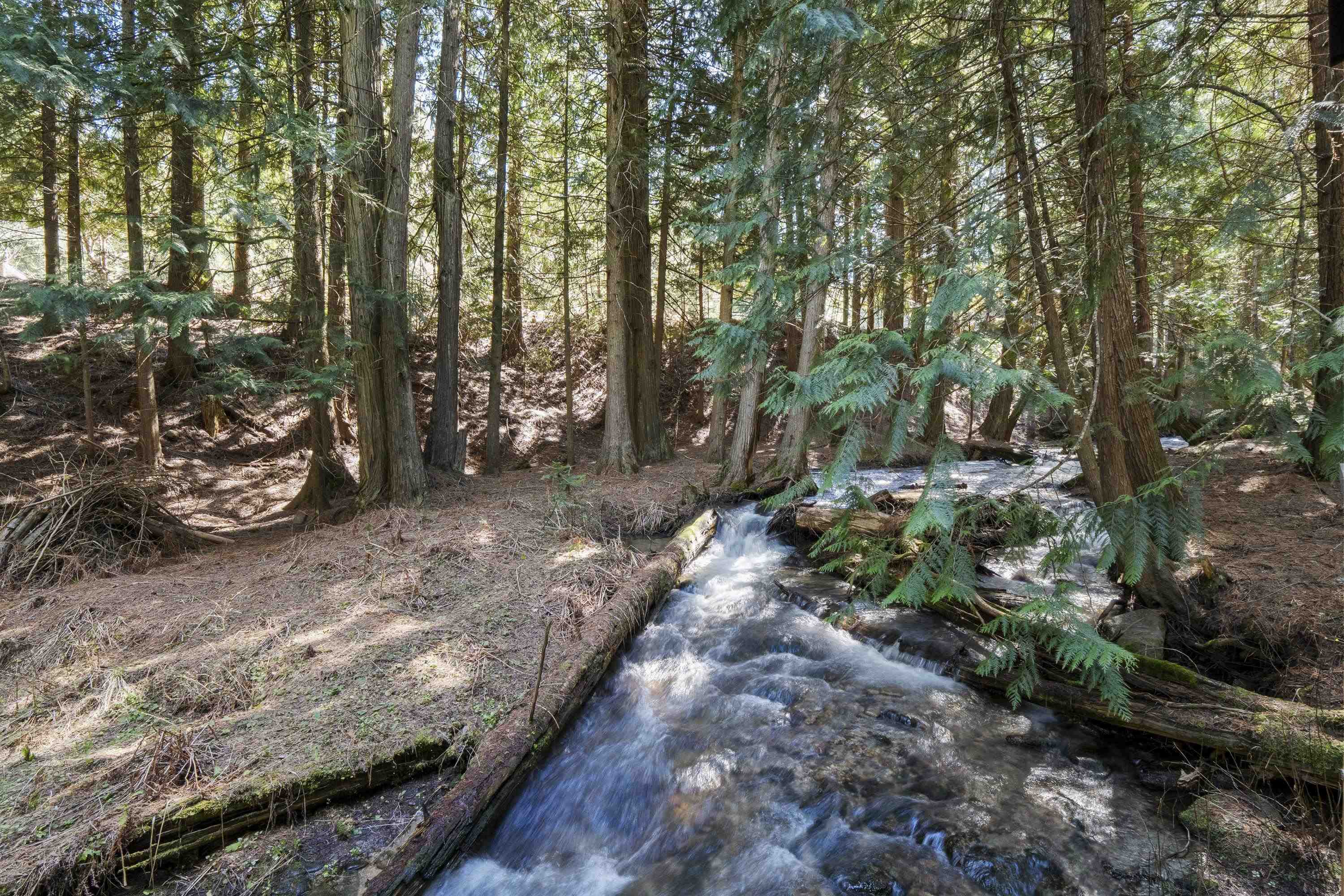 341xx N Blanchard Creek Rd - Photo 13