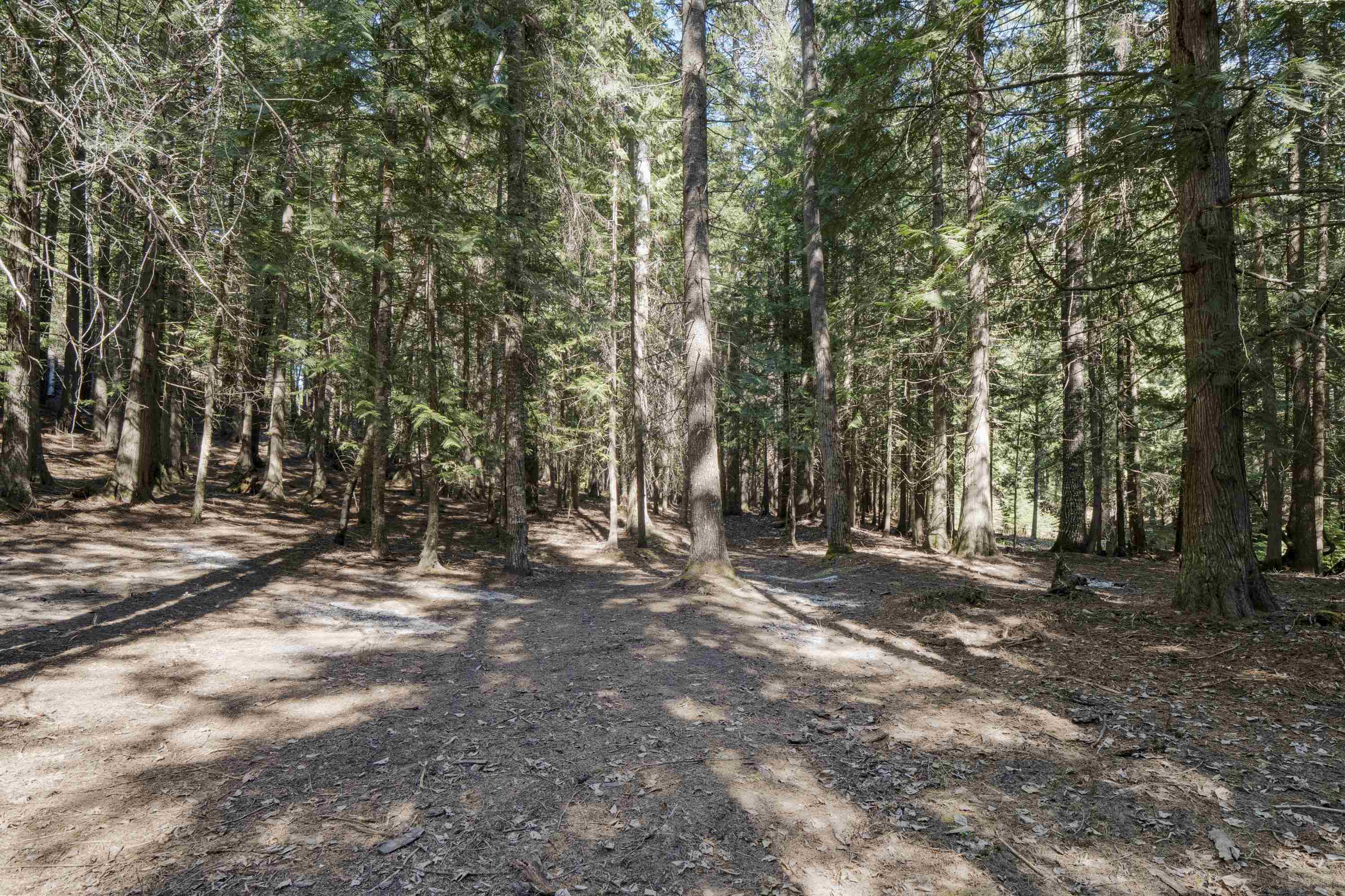 341xx N Blanchard Creek Rd - Photo 14
