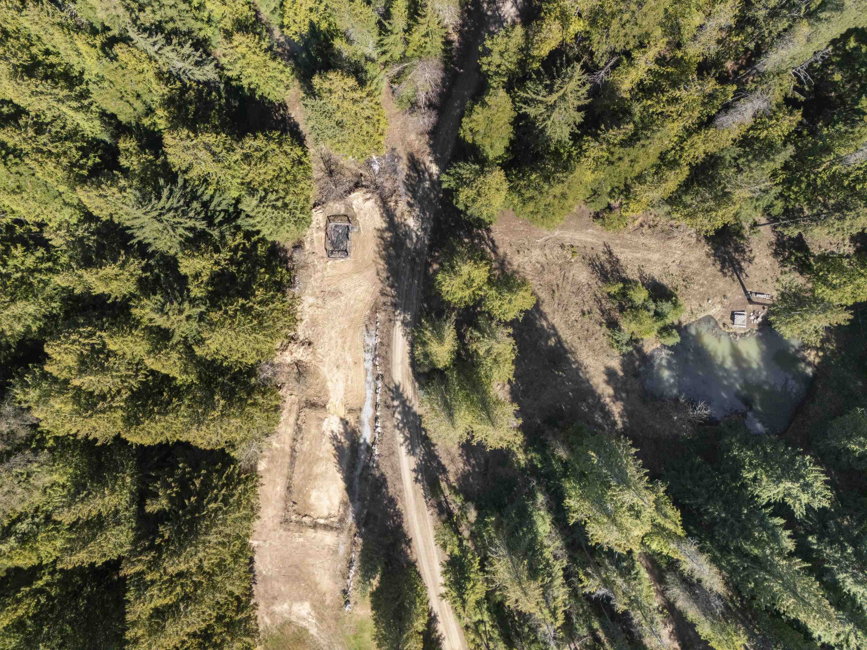 341xx N Blanchard Creek Rd - Photo 17
