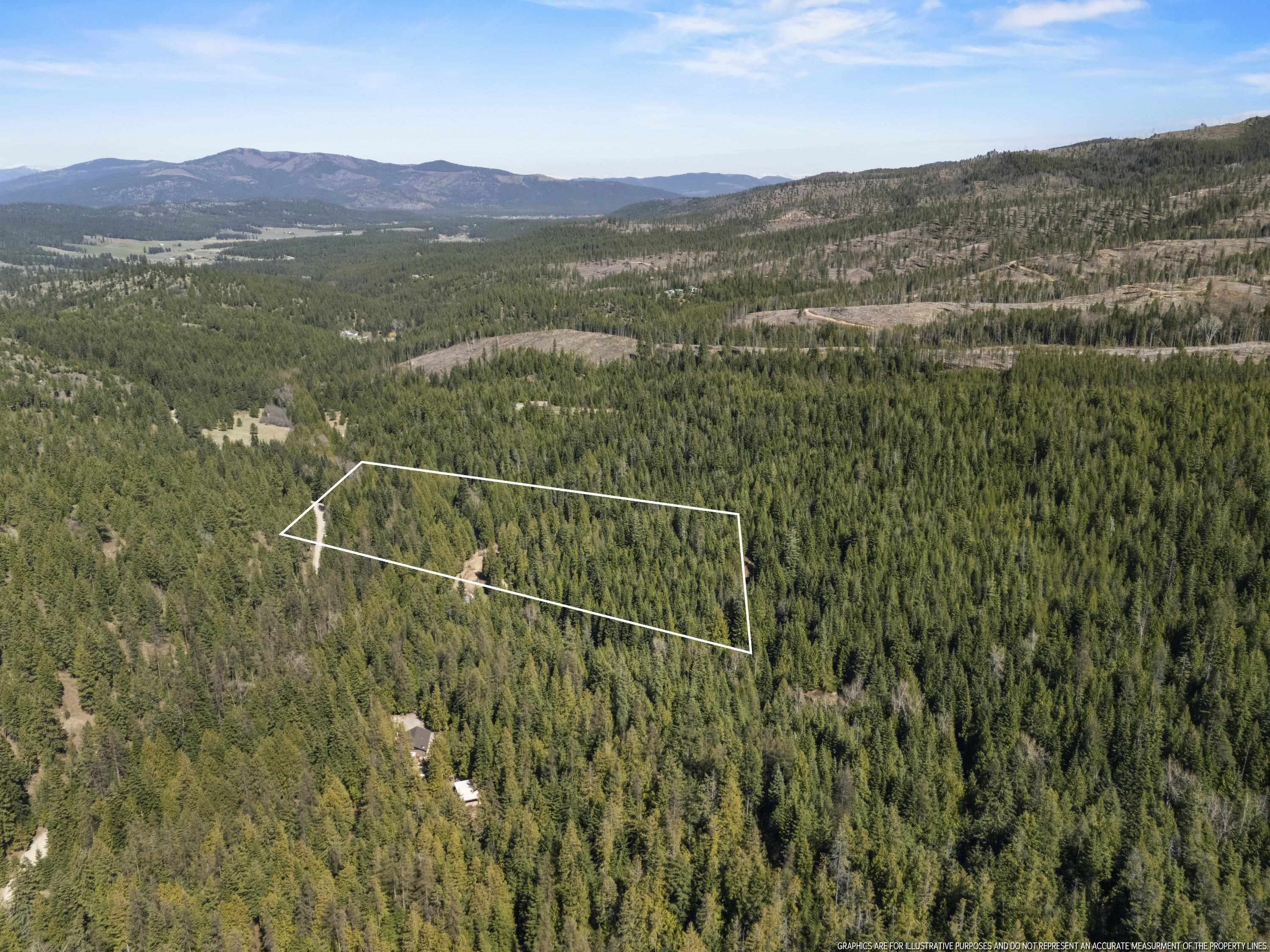 341xx N Blanchard Creek Rd - Photo 19