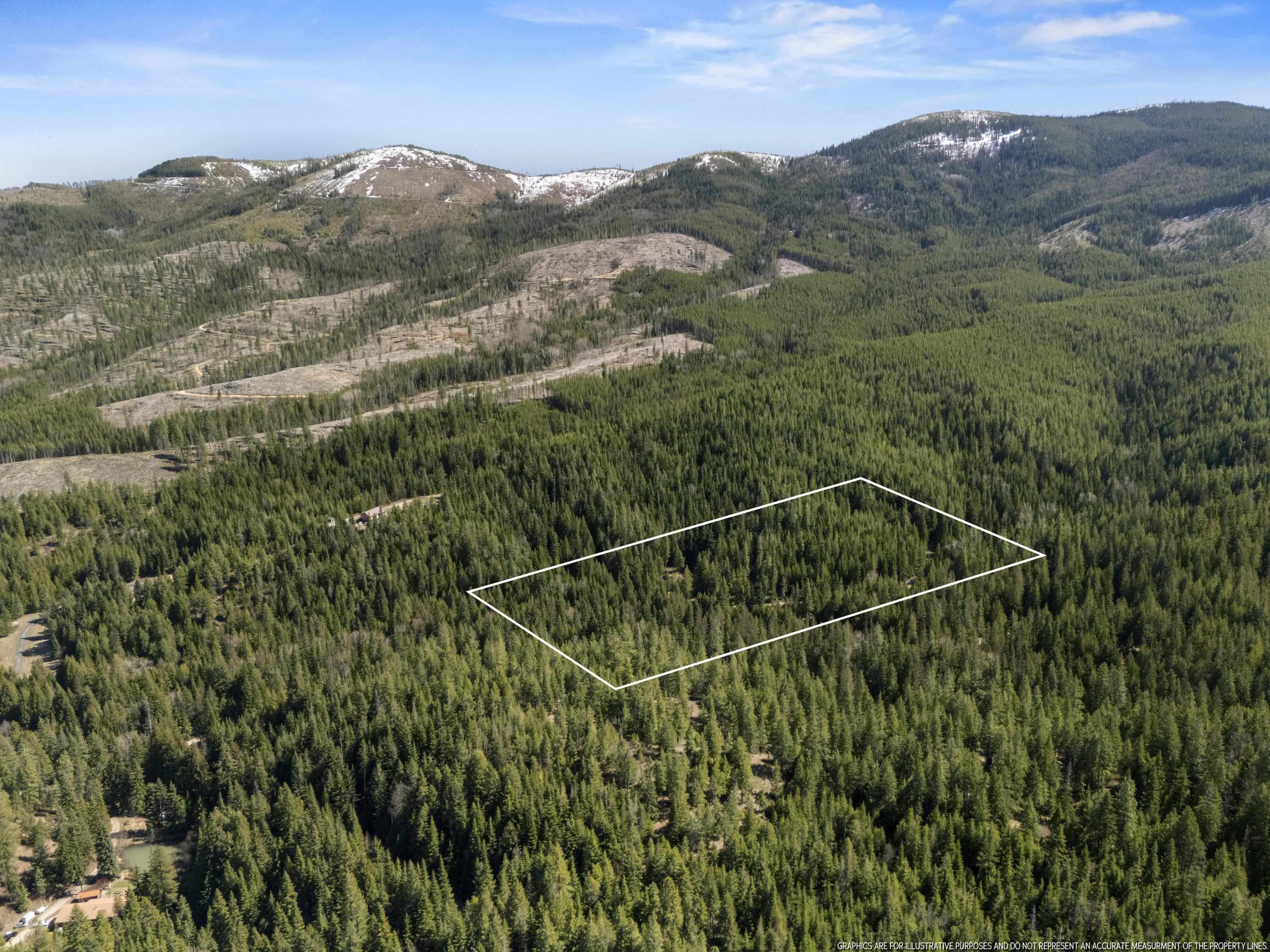 341xx N Blanchard Creek Rd - Photo 24