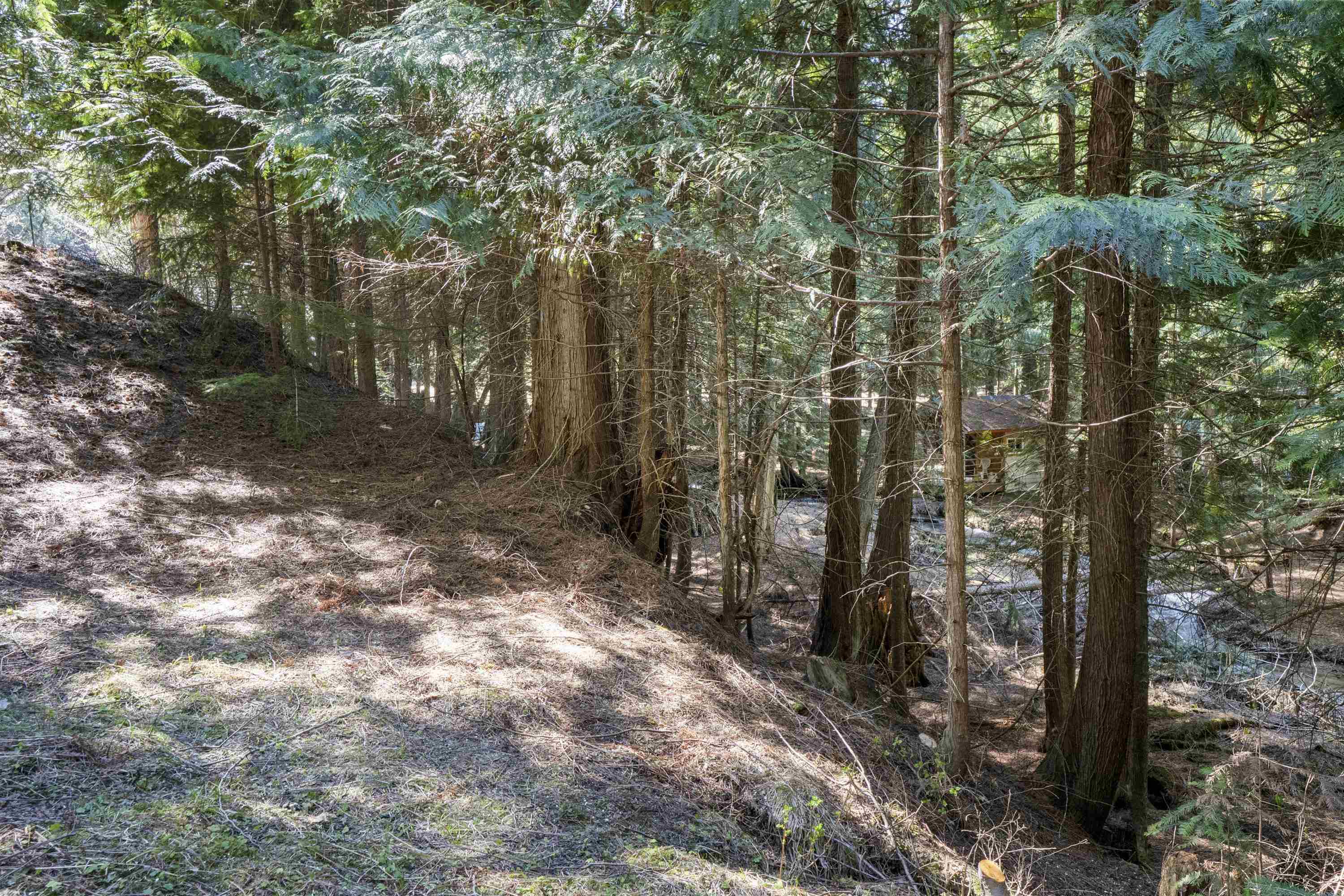341xx N Blanchard Creek Rd - Photo 27