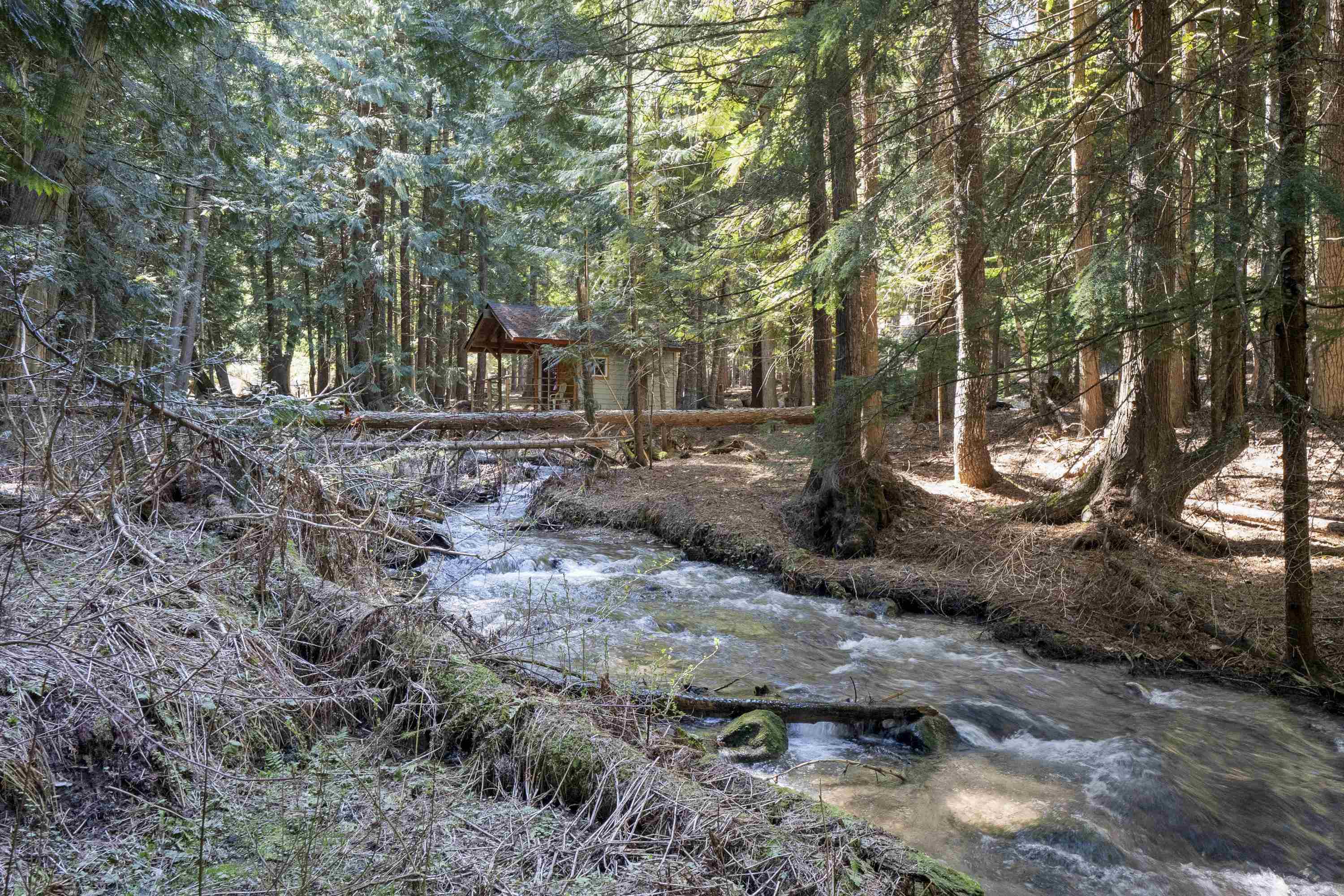341xx N Blanchard Creek Rd - Photo 4