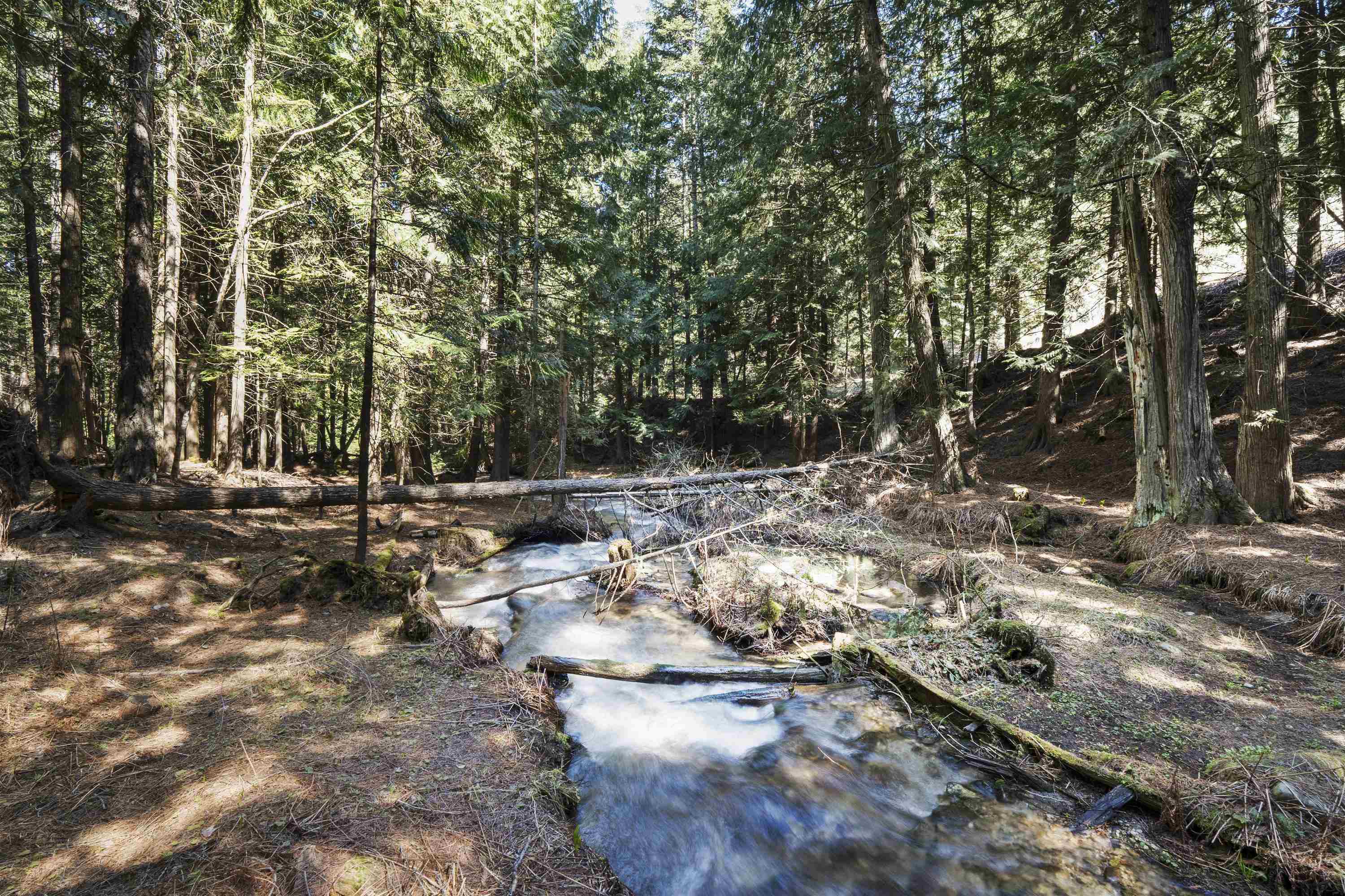 341xx N Blanchard Creek Rd - Photo 9