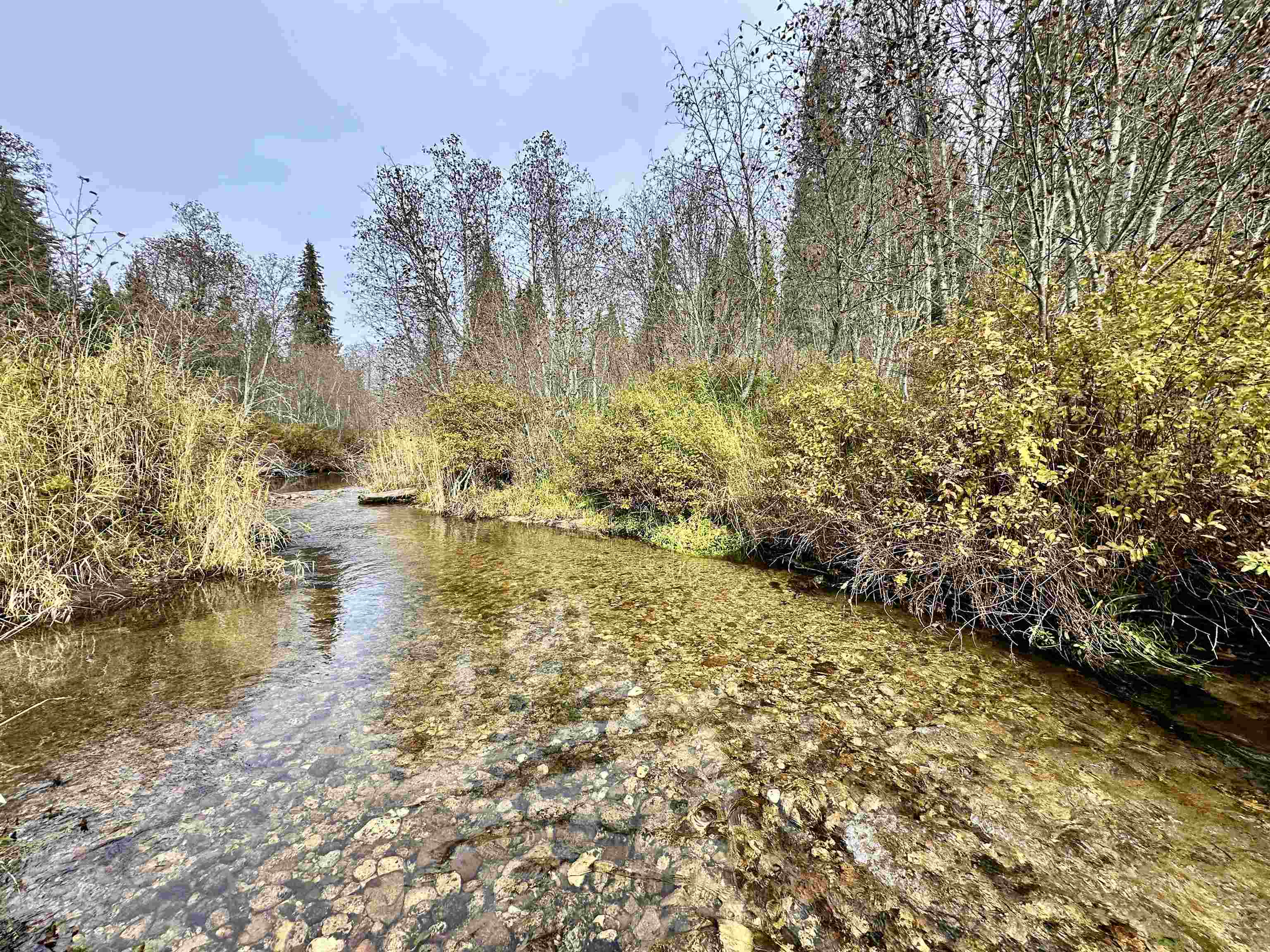281 Four Dog Ln - Photo 28