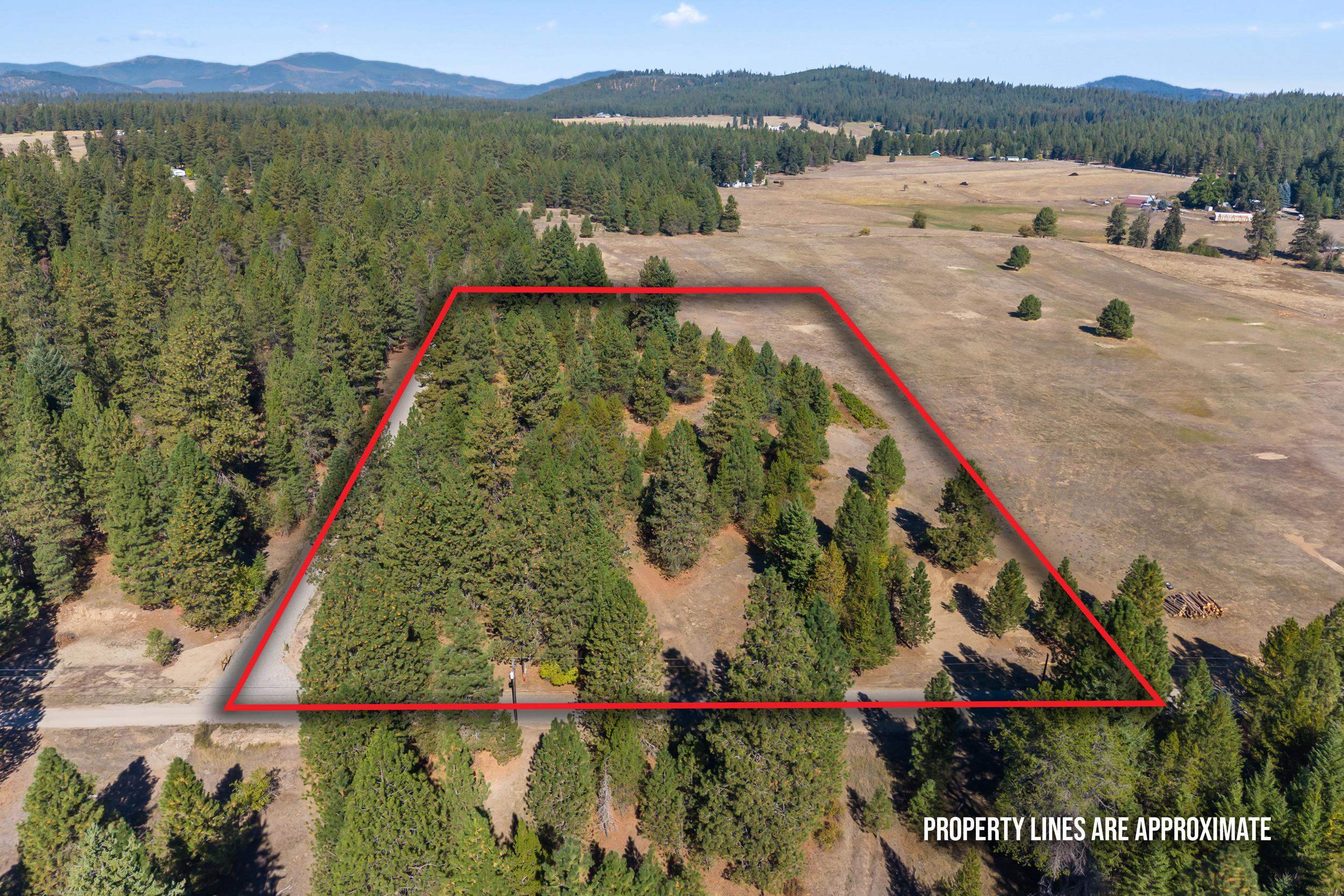 350 Brook Dr - Photo 1