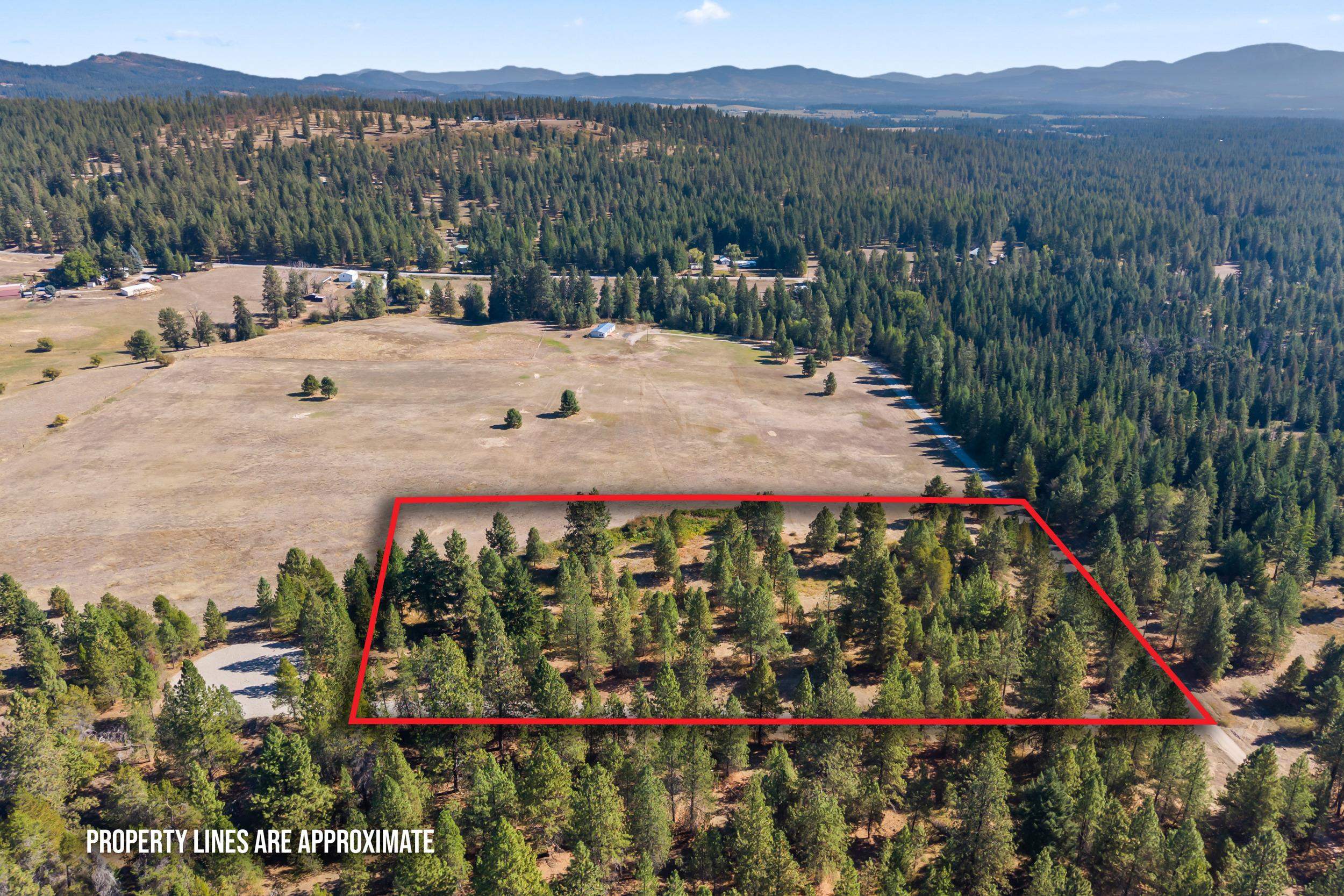 350 Brook Dr - Photo 15