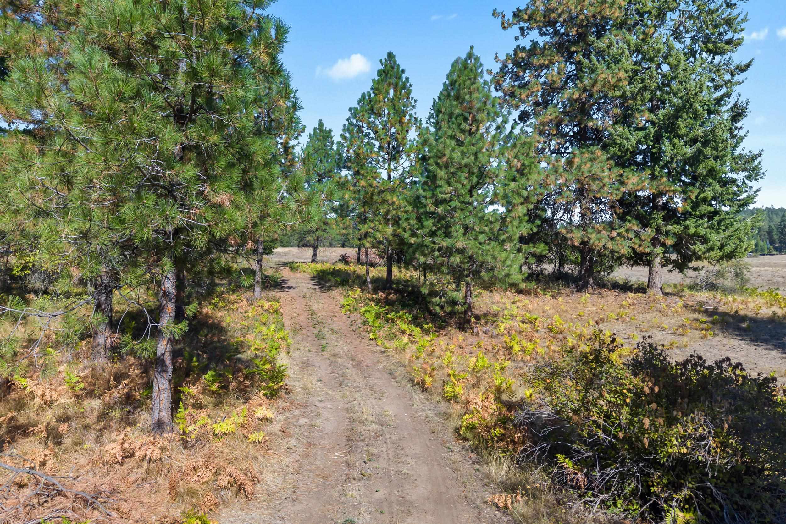 350 Brook Dr - Photo 20