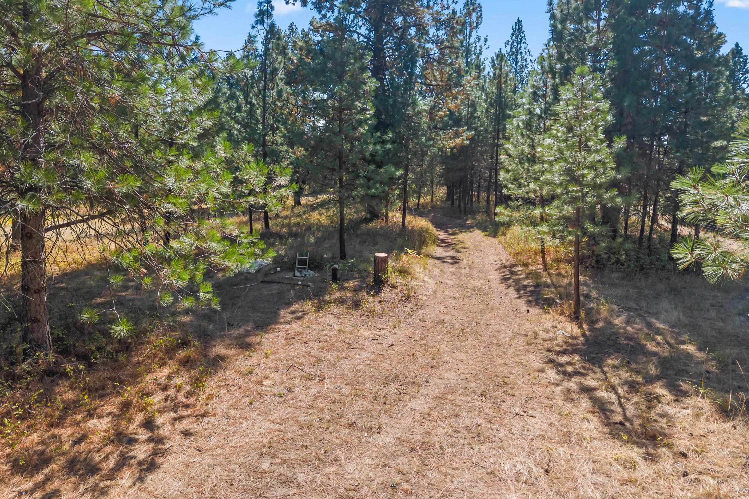 350 Brook Dr - Photo 21