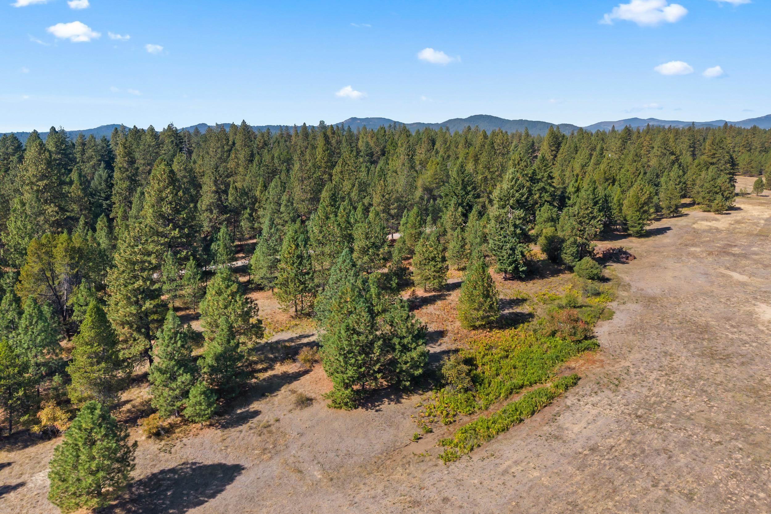 350 Brook Dr - Photo 28