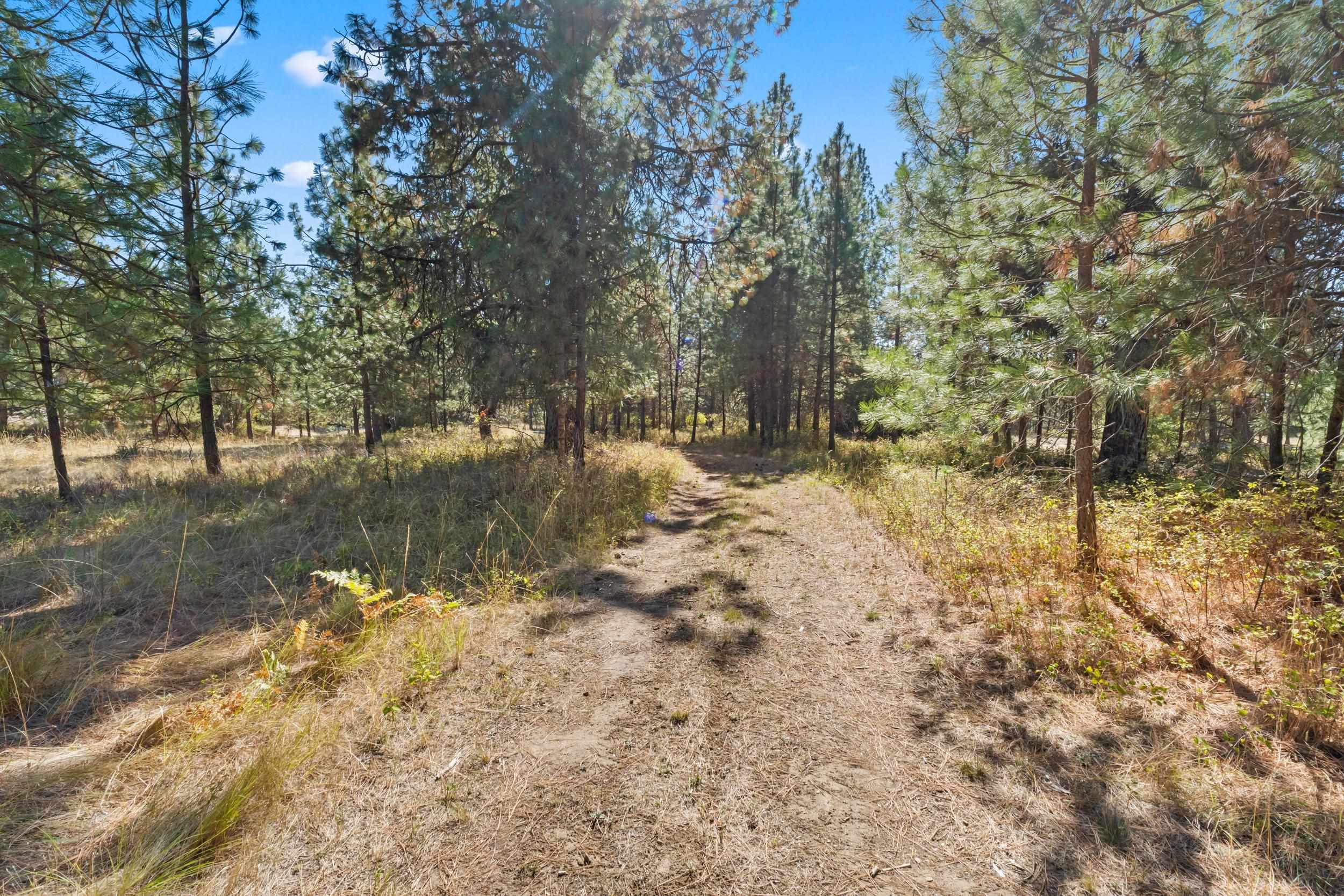 350 Brook Dr - Photo 31