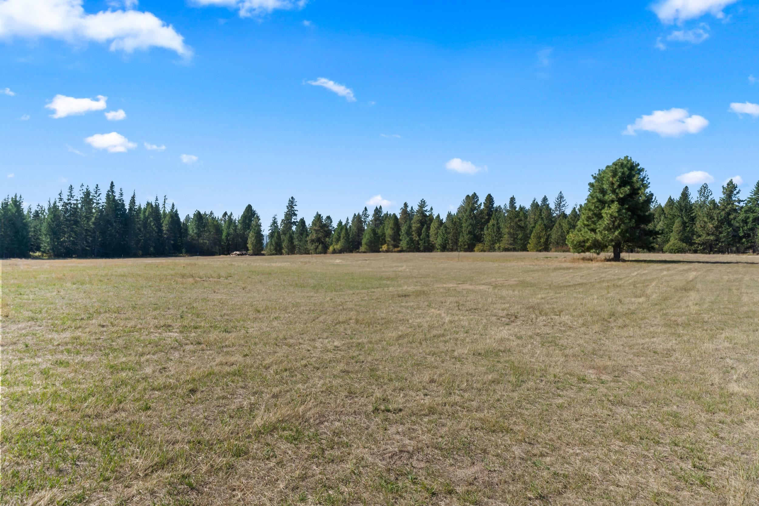 350 Brook Dr - Photo 6