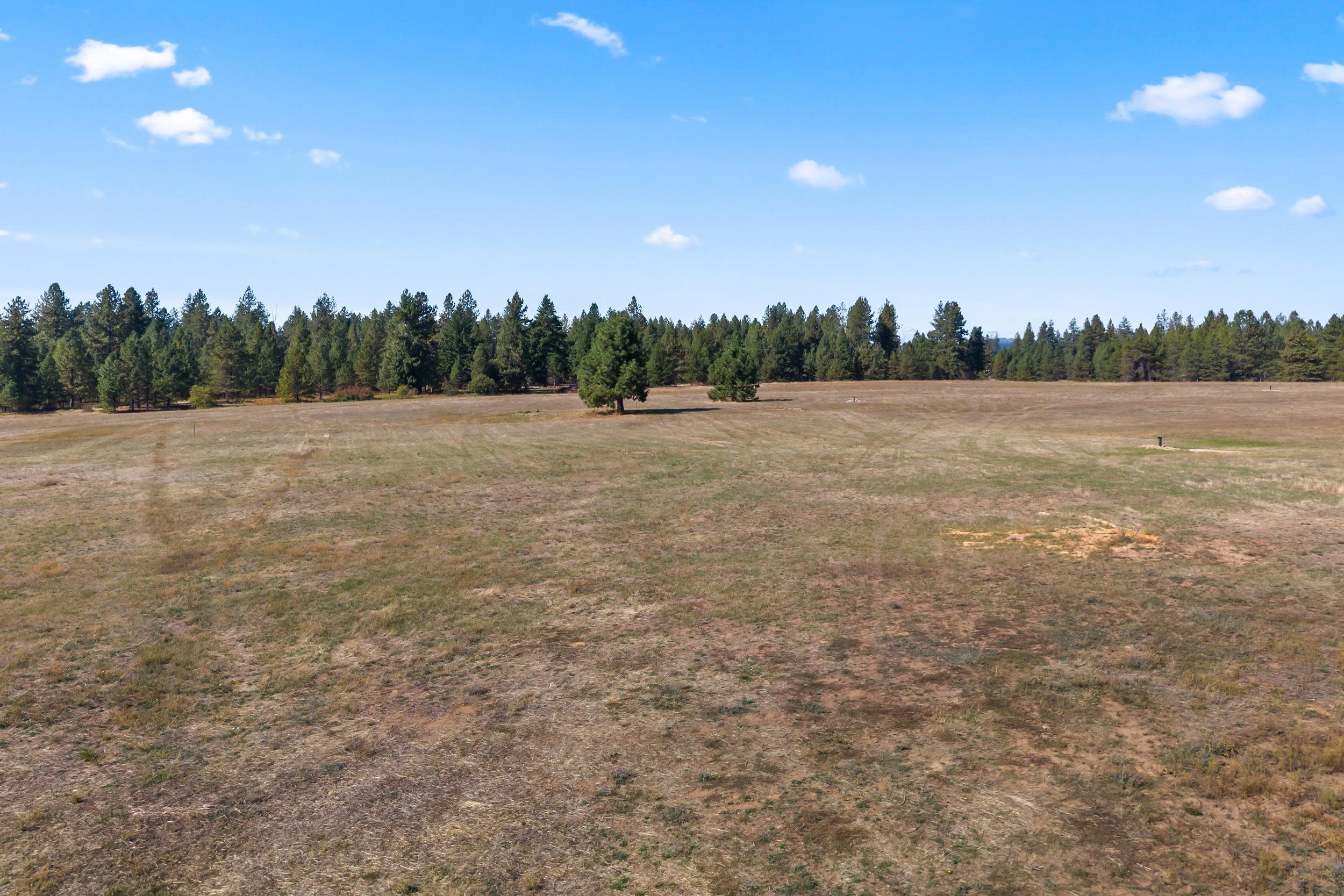 350 Brook Dr - Photo 10