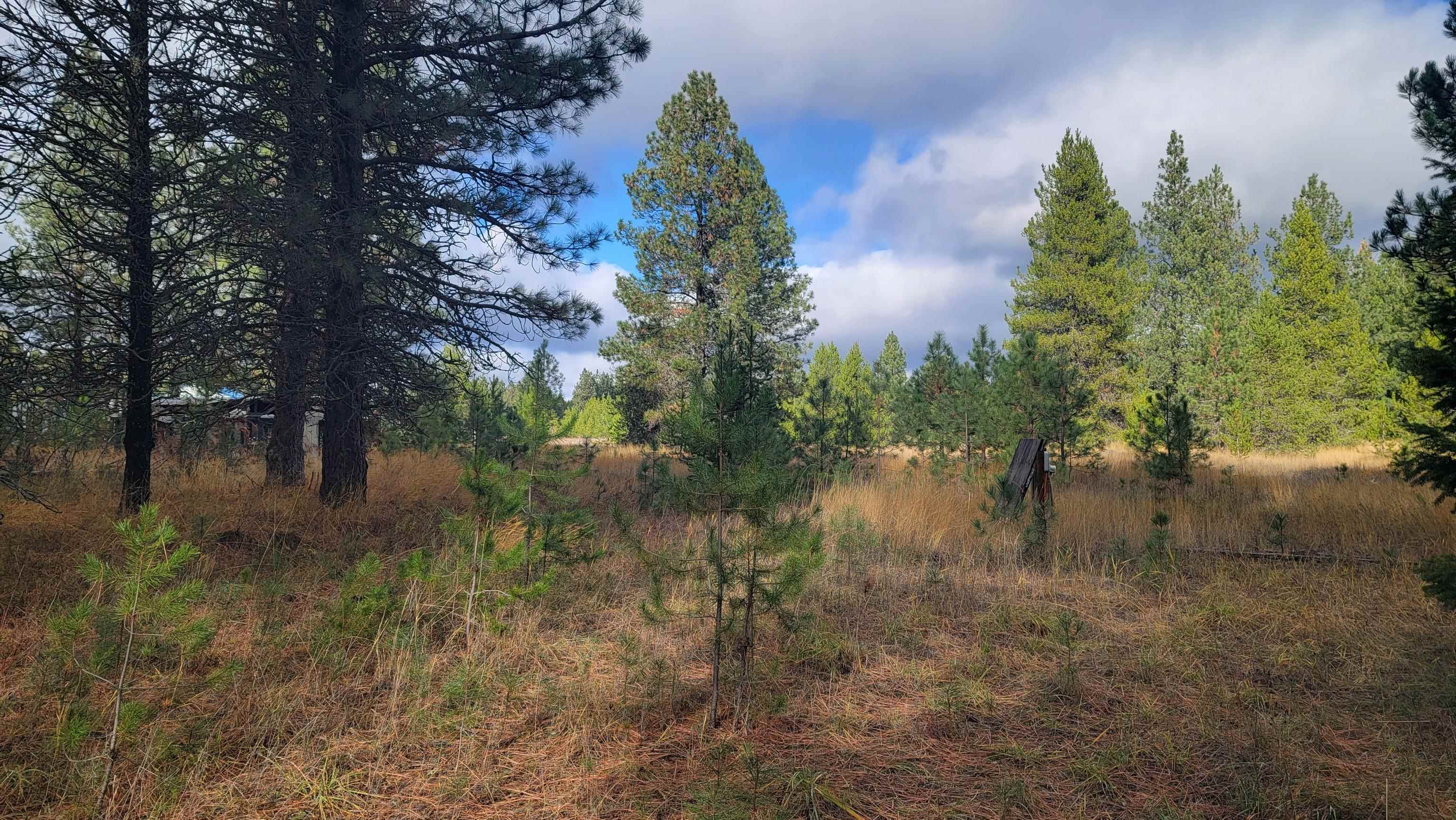 652 Jorgens Rd - Photo 1