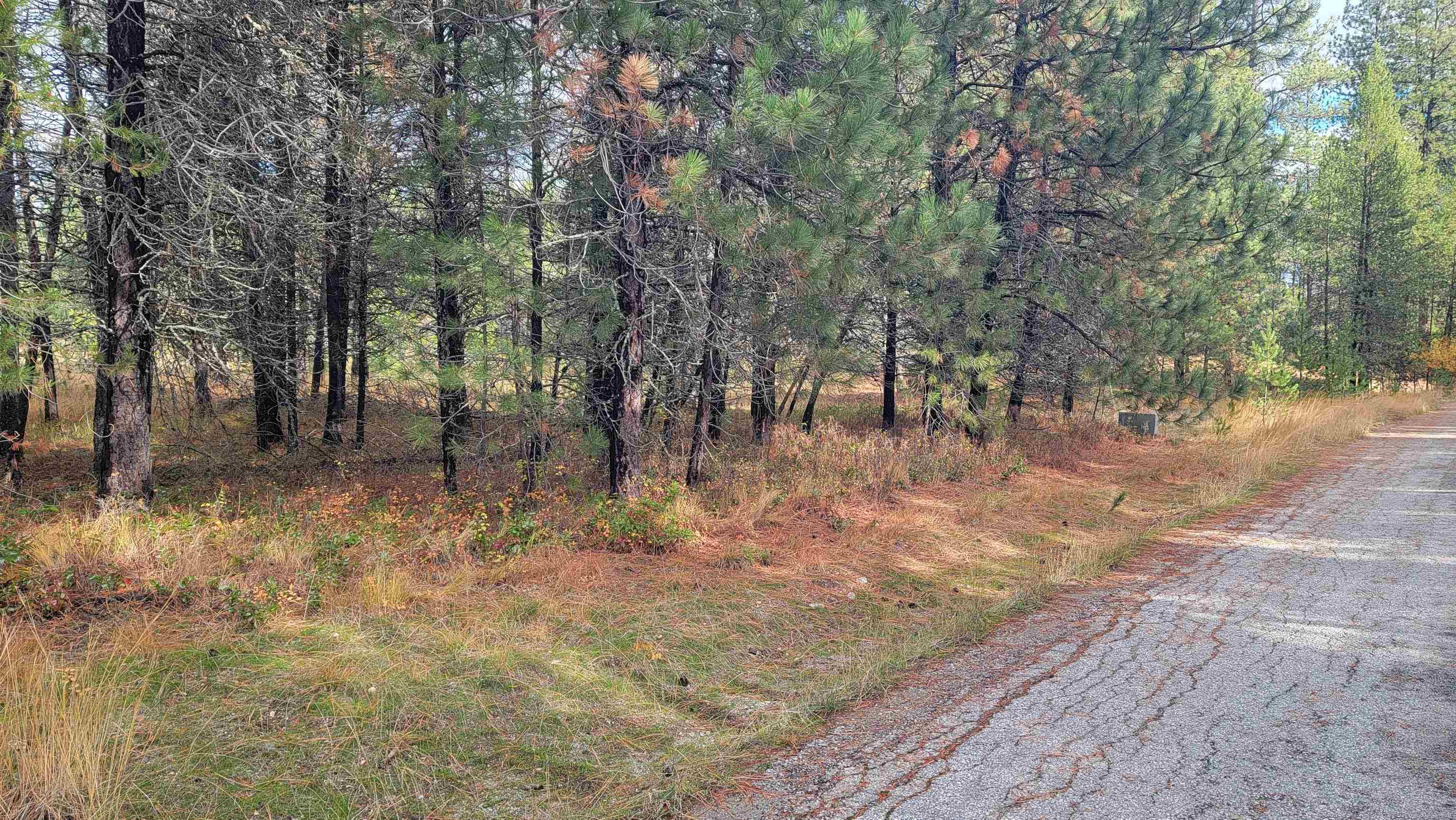 652 Jorgens Rd - Photo 2