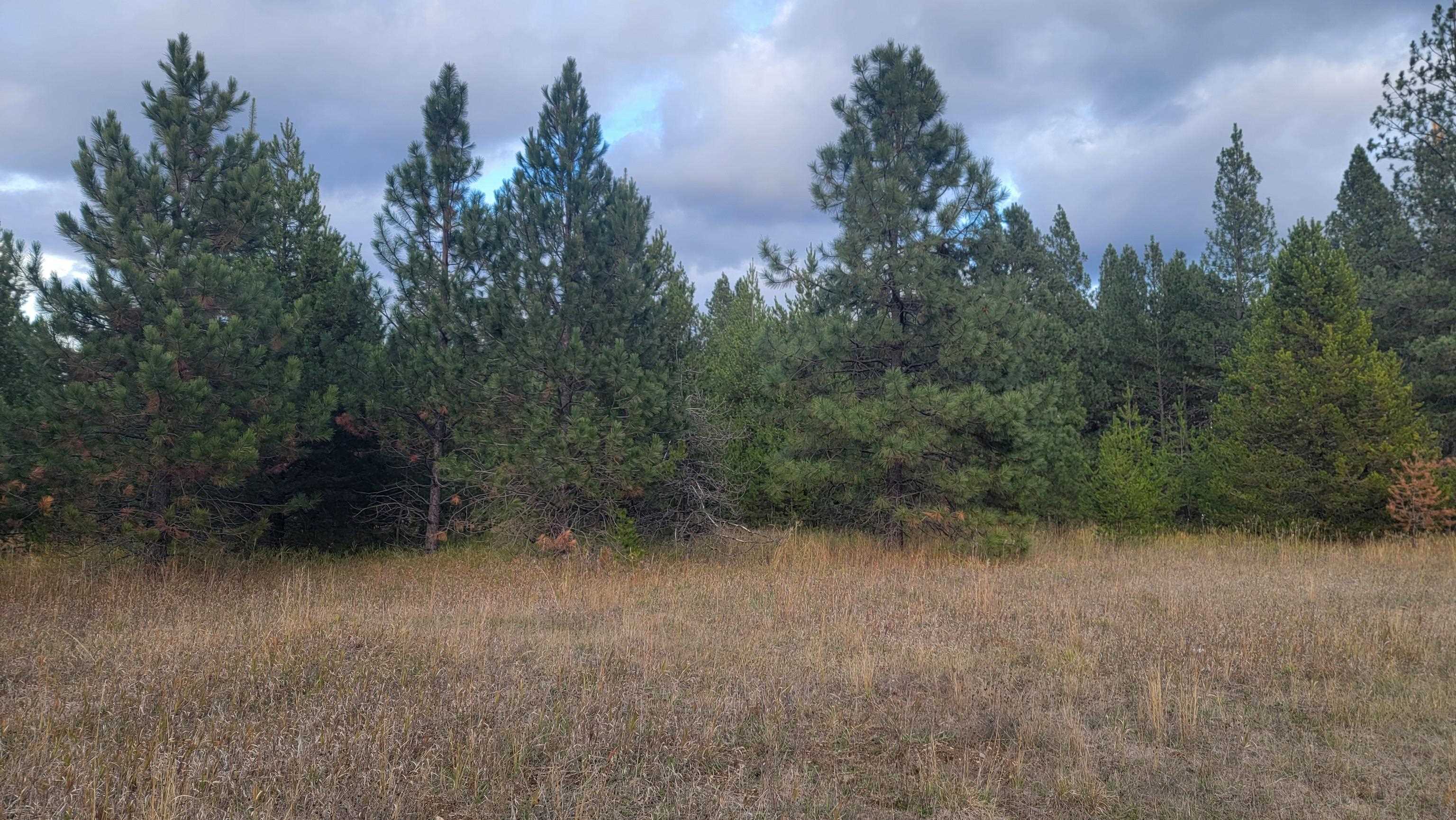 652 Jorgens Rd - Photo 15