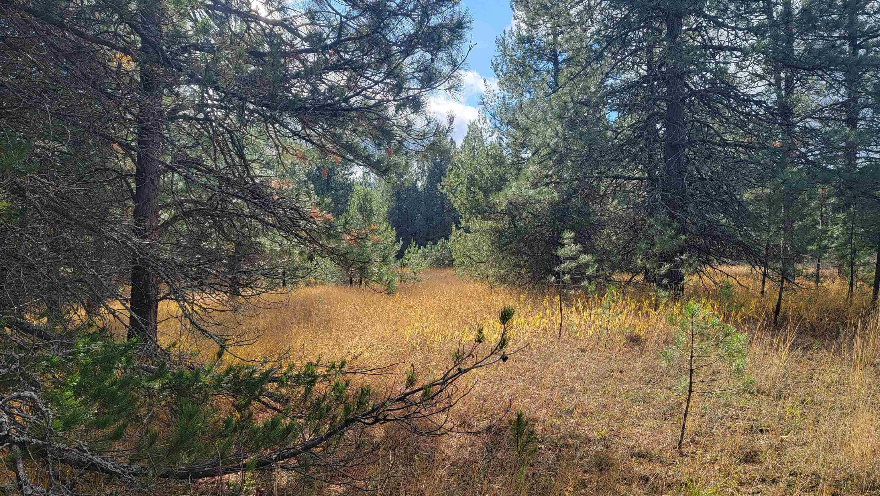 652 Jorgens Rd - Photo 16
