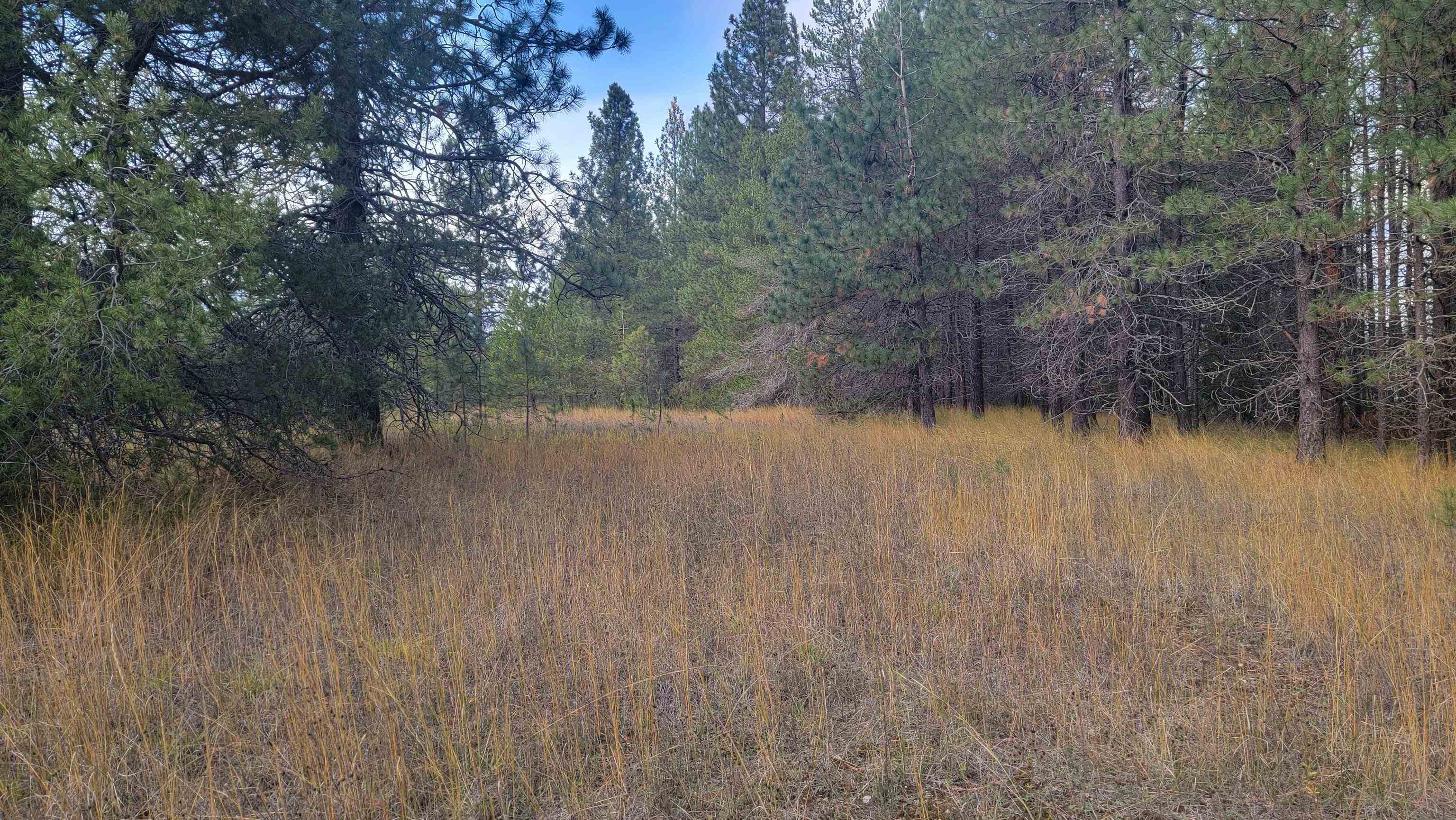 652 Jorgens Rd - Photo 17