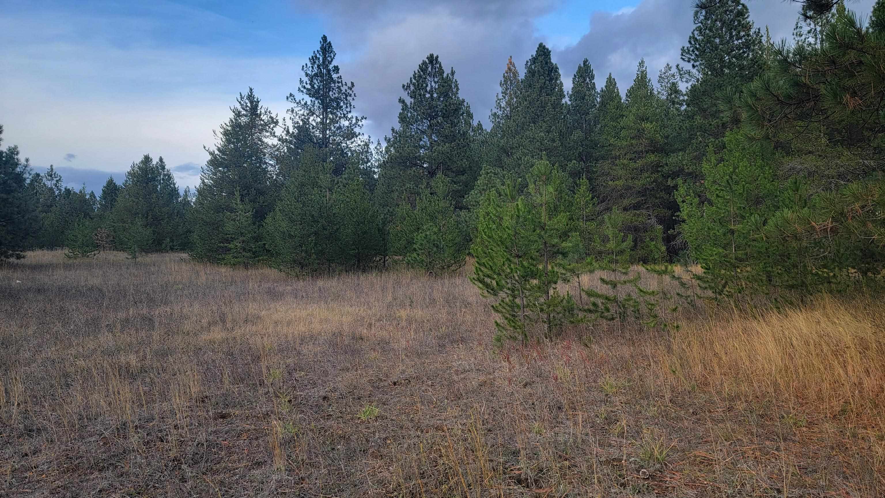 652 Jorgens Rd - Photo 18