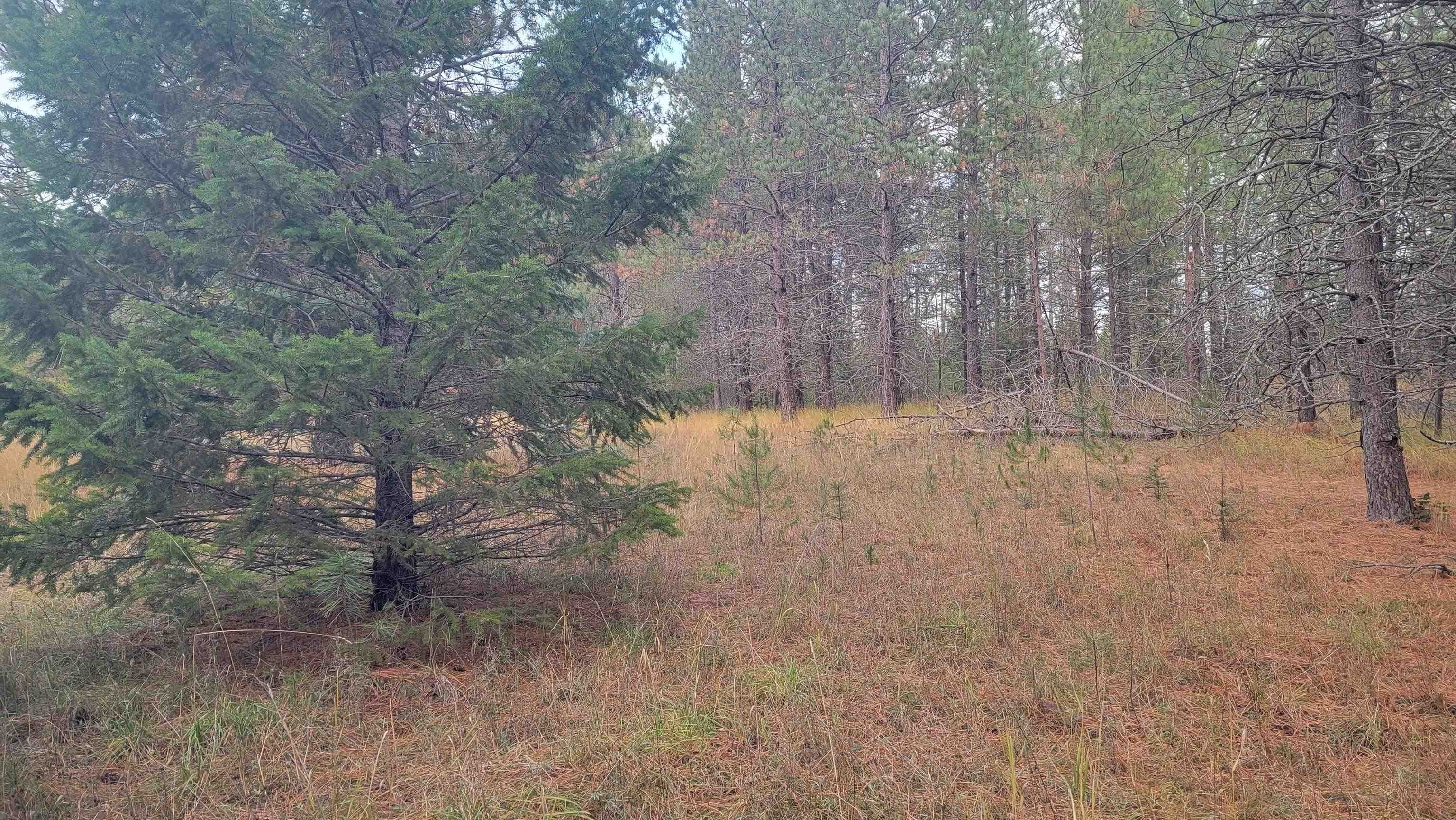 652 Jorgens Rd - Photo 19