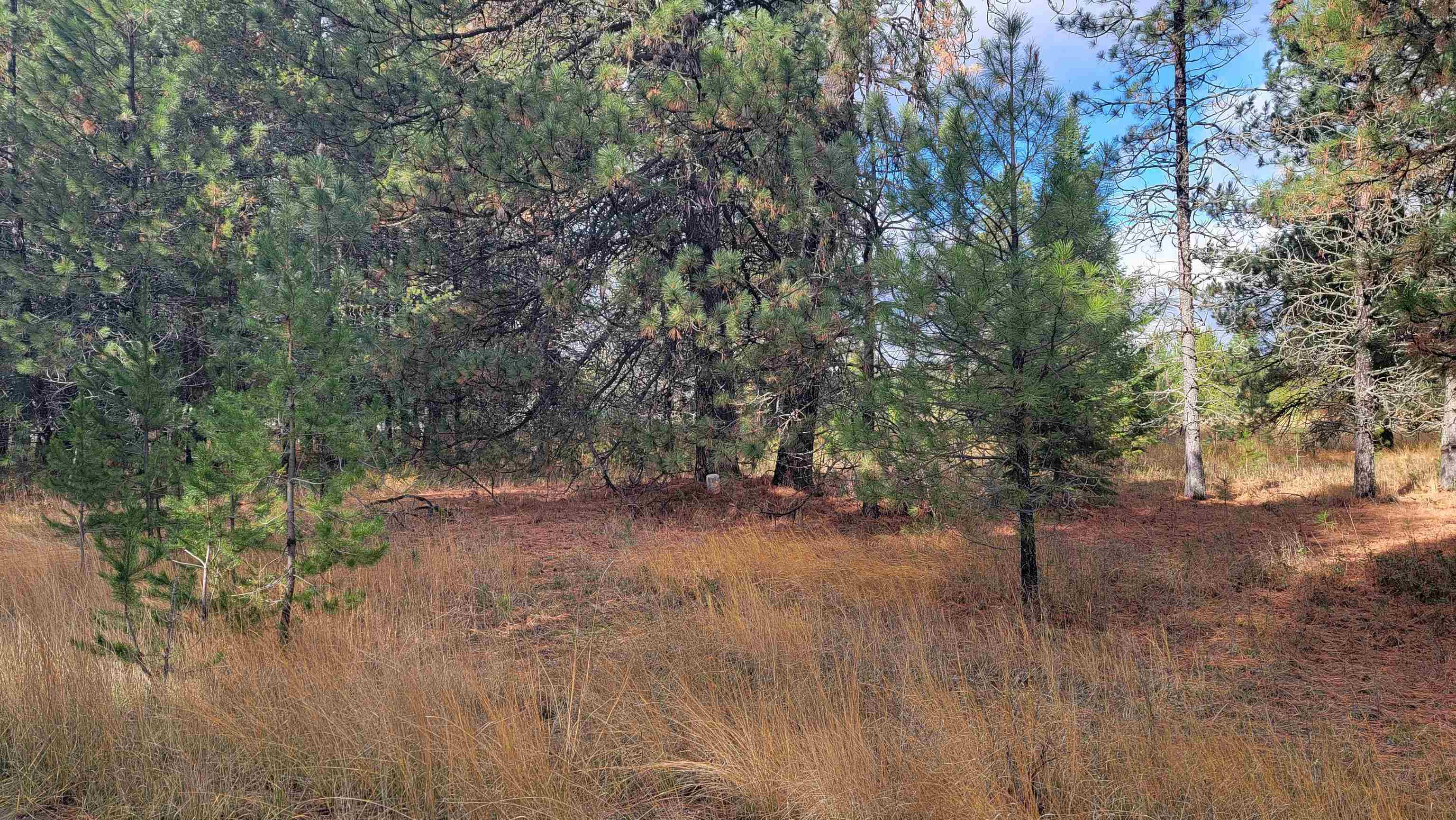 652 Jorgens Rd - Photo 3