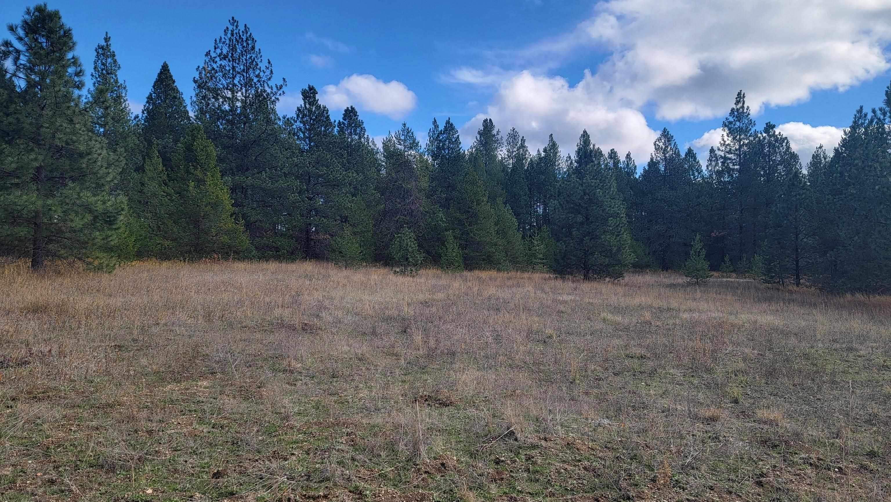 652 Jorgens Rd - Photo 21