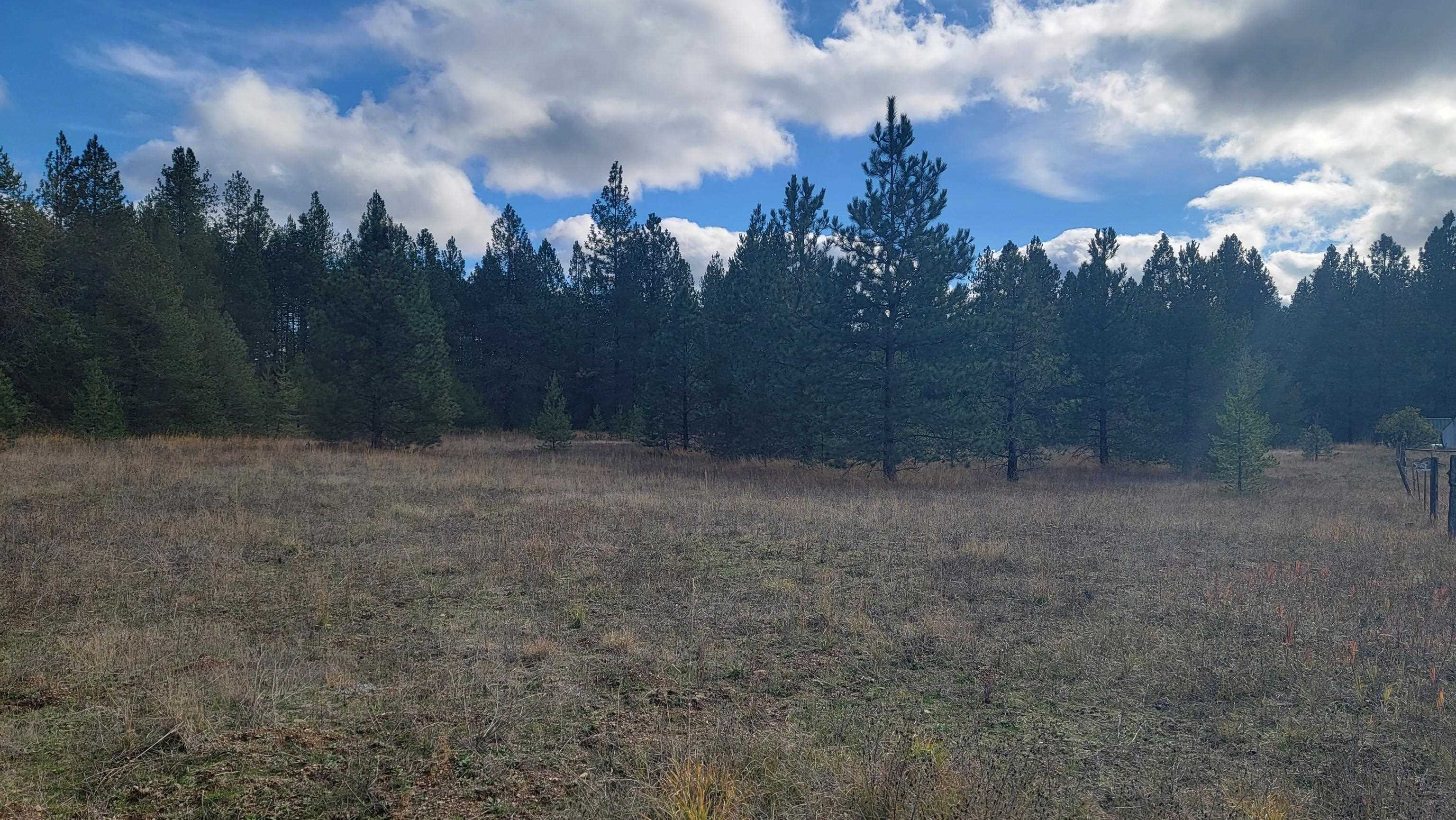 652 Jorgens Rd - Photo 22