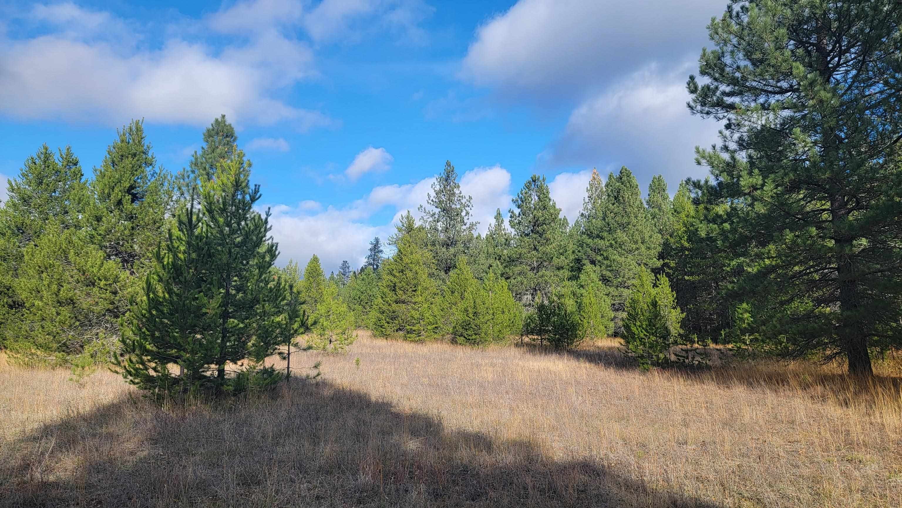 652 Jorgens Rd - Photo 4