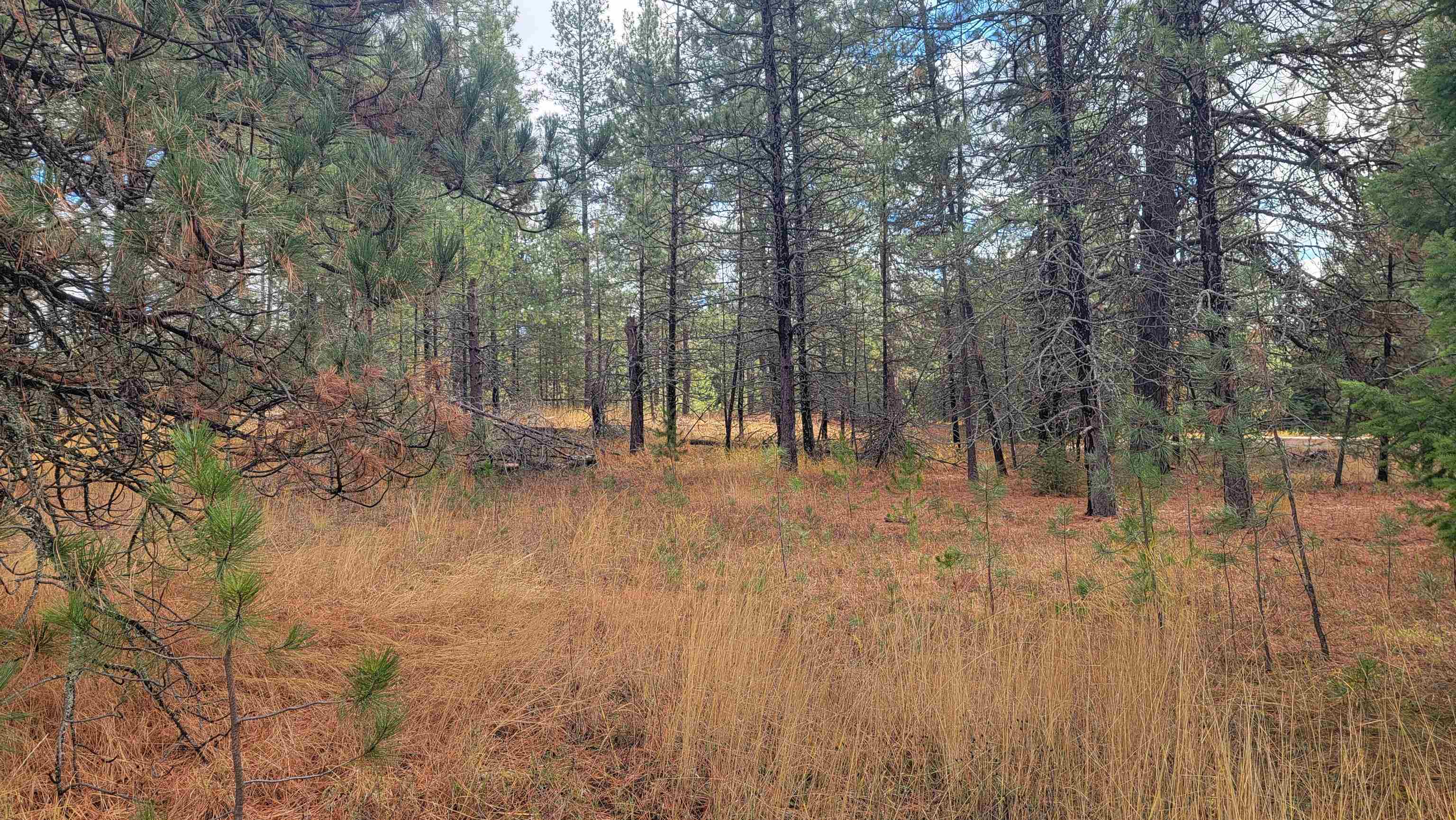 652 Jorgens Rd - Photo 8