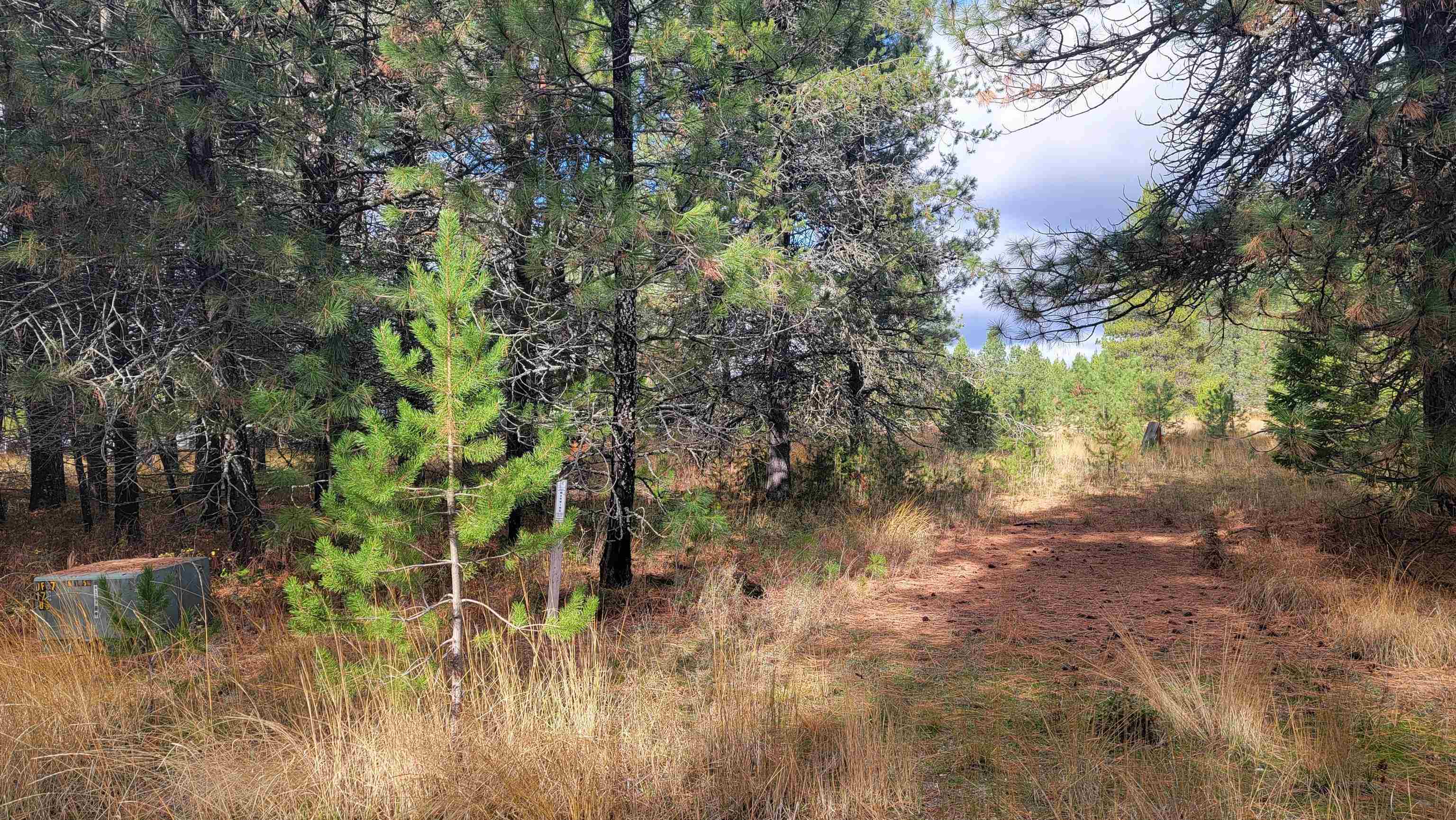 652 Jorgens Rd - Photo 9