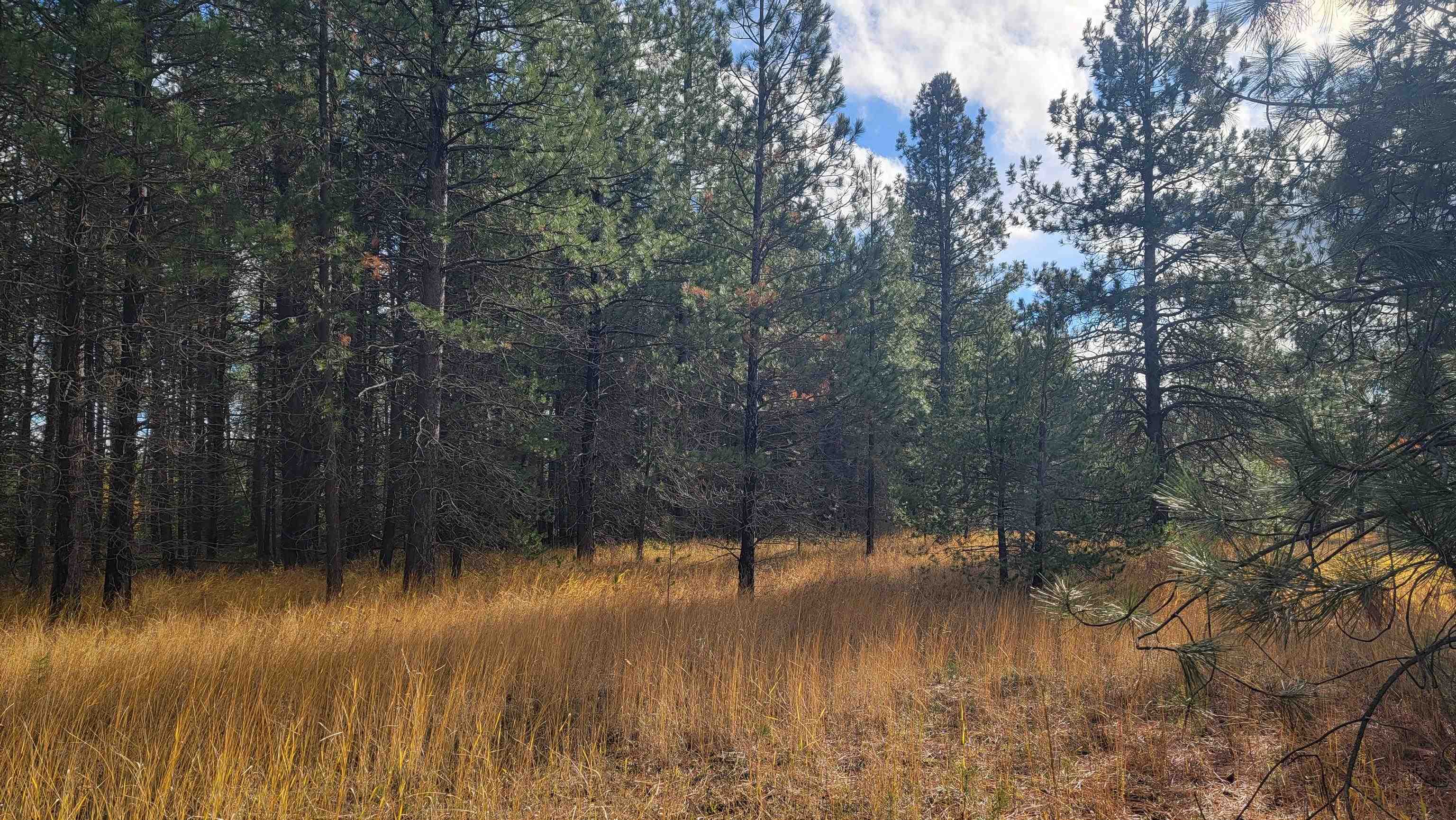 652 Jorgens Rd - Photo 10