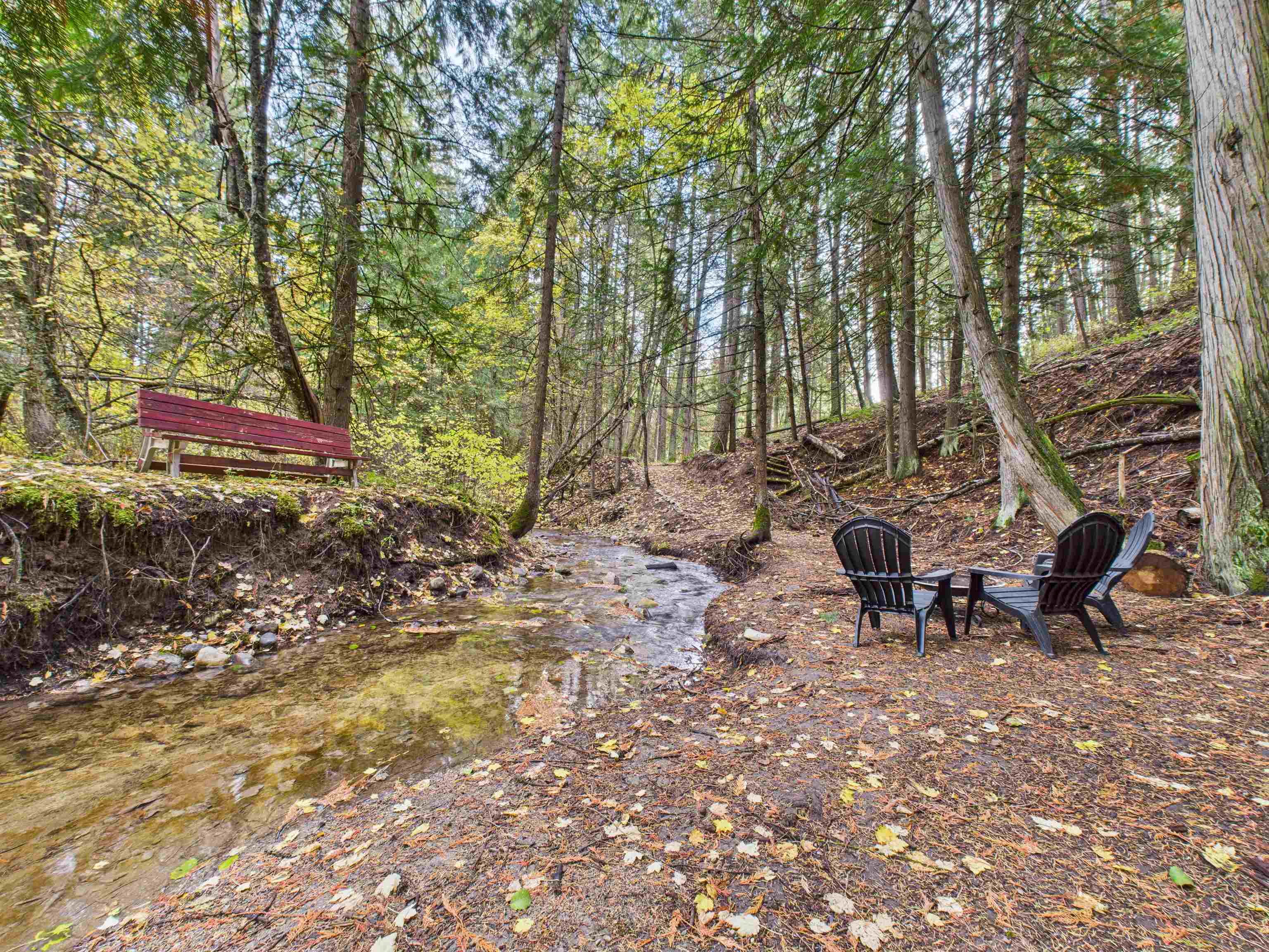 2313 Hickey Way - Photo 5