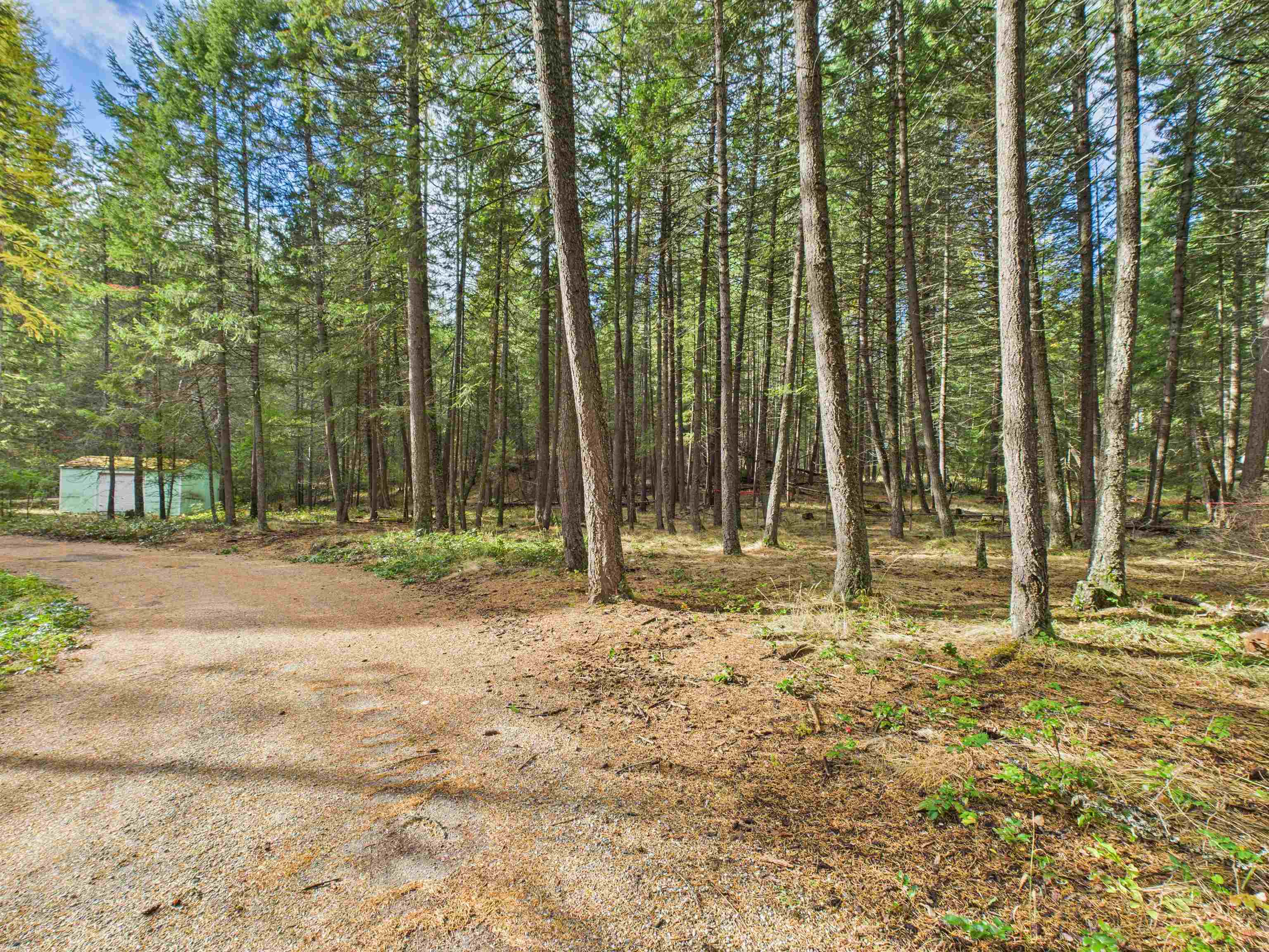 2313 Hickey Way - Photo 48
