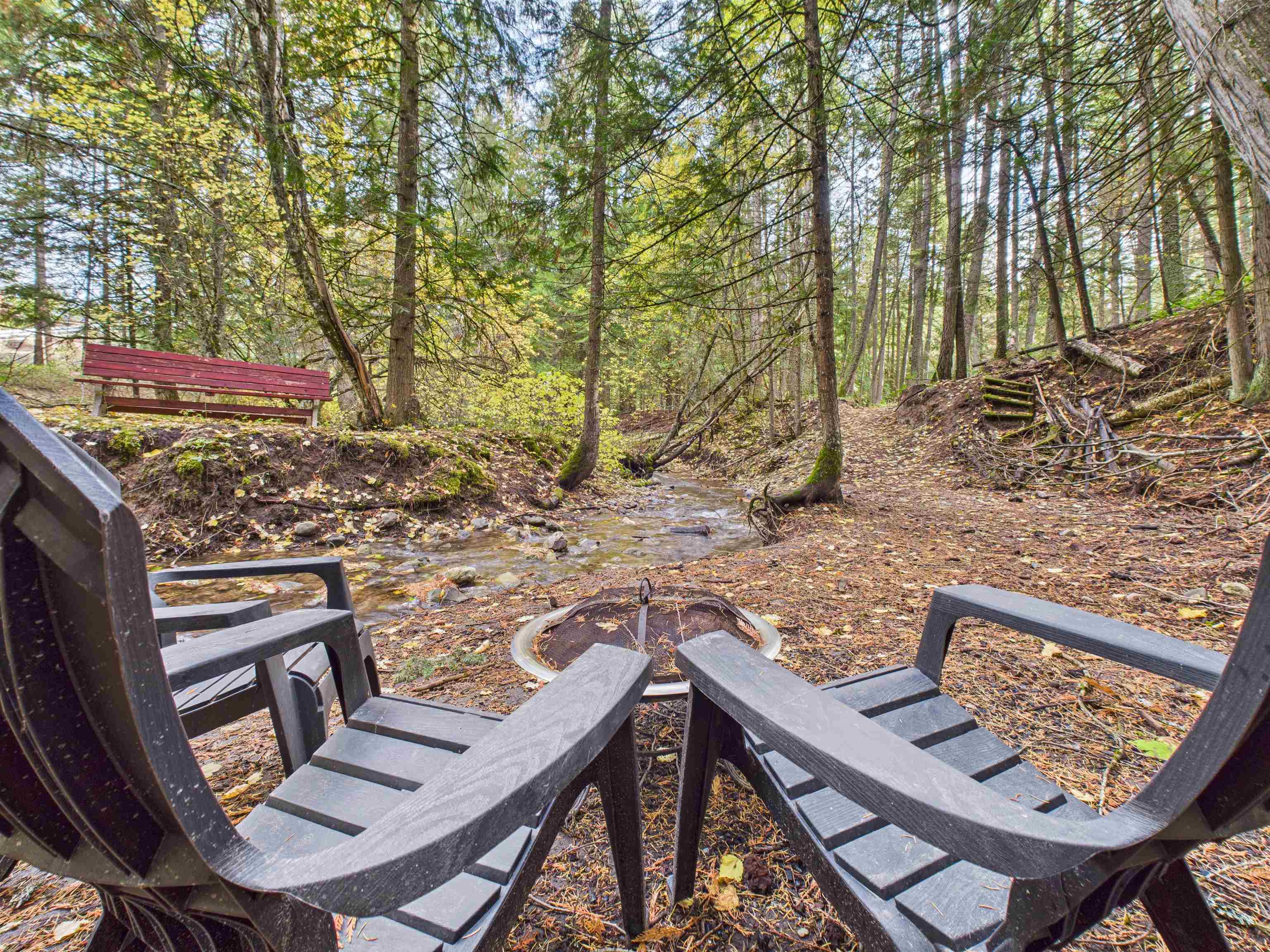 2313 Hickey Way - Photo 7