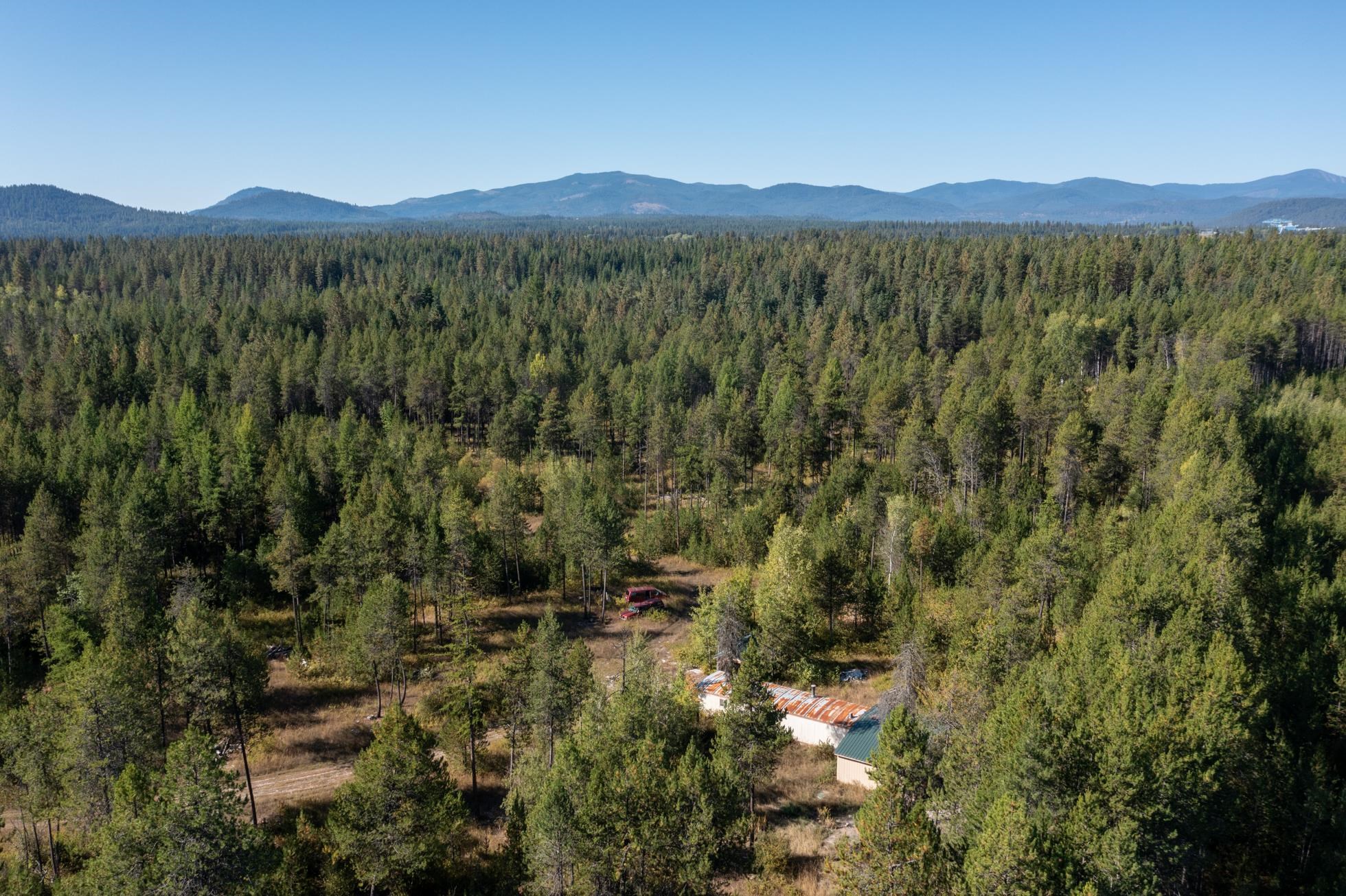 54 Lenora Dr - Photo 4