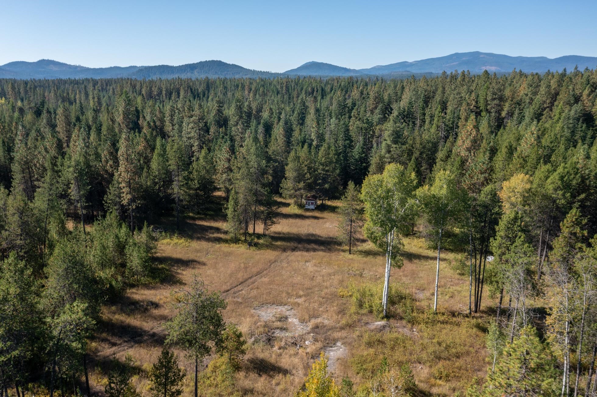 54 Lenora Dr - Photo 5
