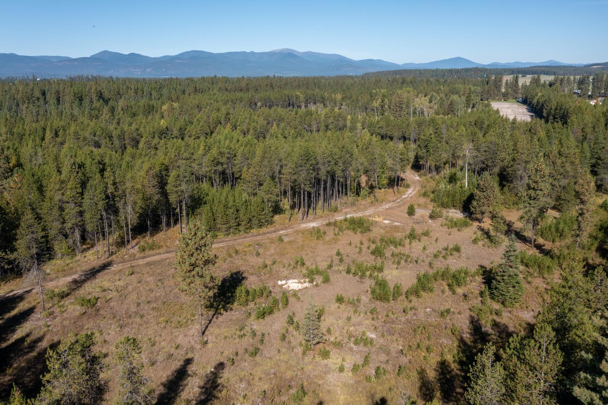 54 Lenora Dr - Photo 8
