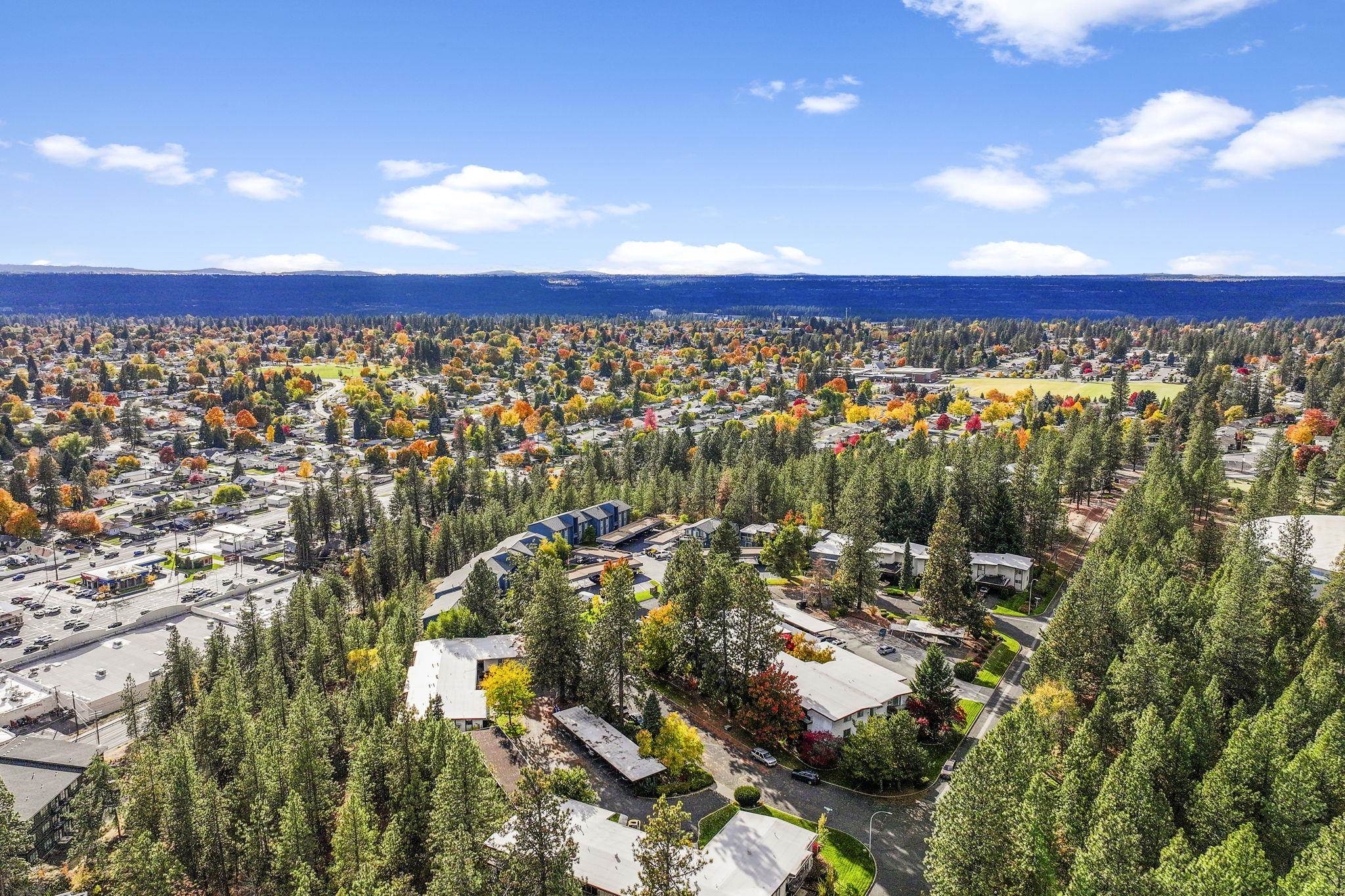 1823 W Northridge Ct - Photo 48