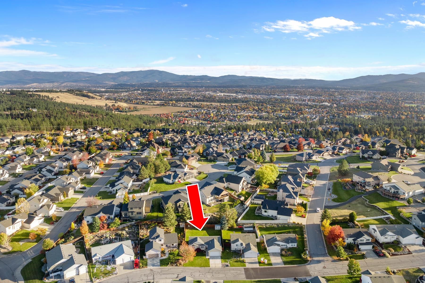 8616 E Bull Pine Ln - Photo 28