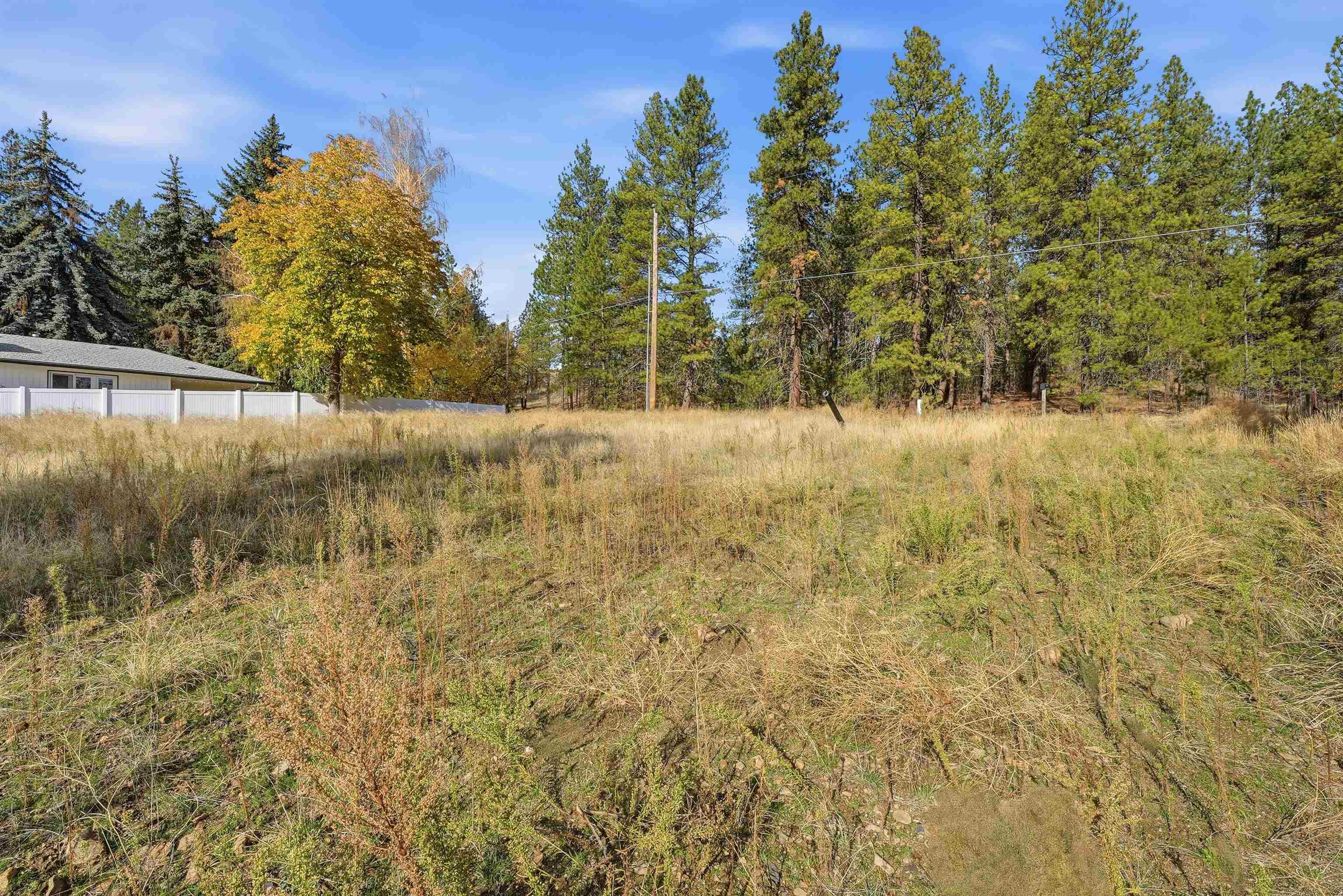 13554 N Crestline St - Photo 13