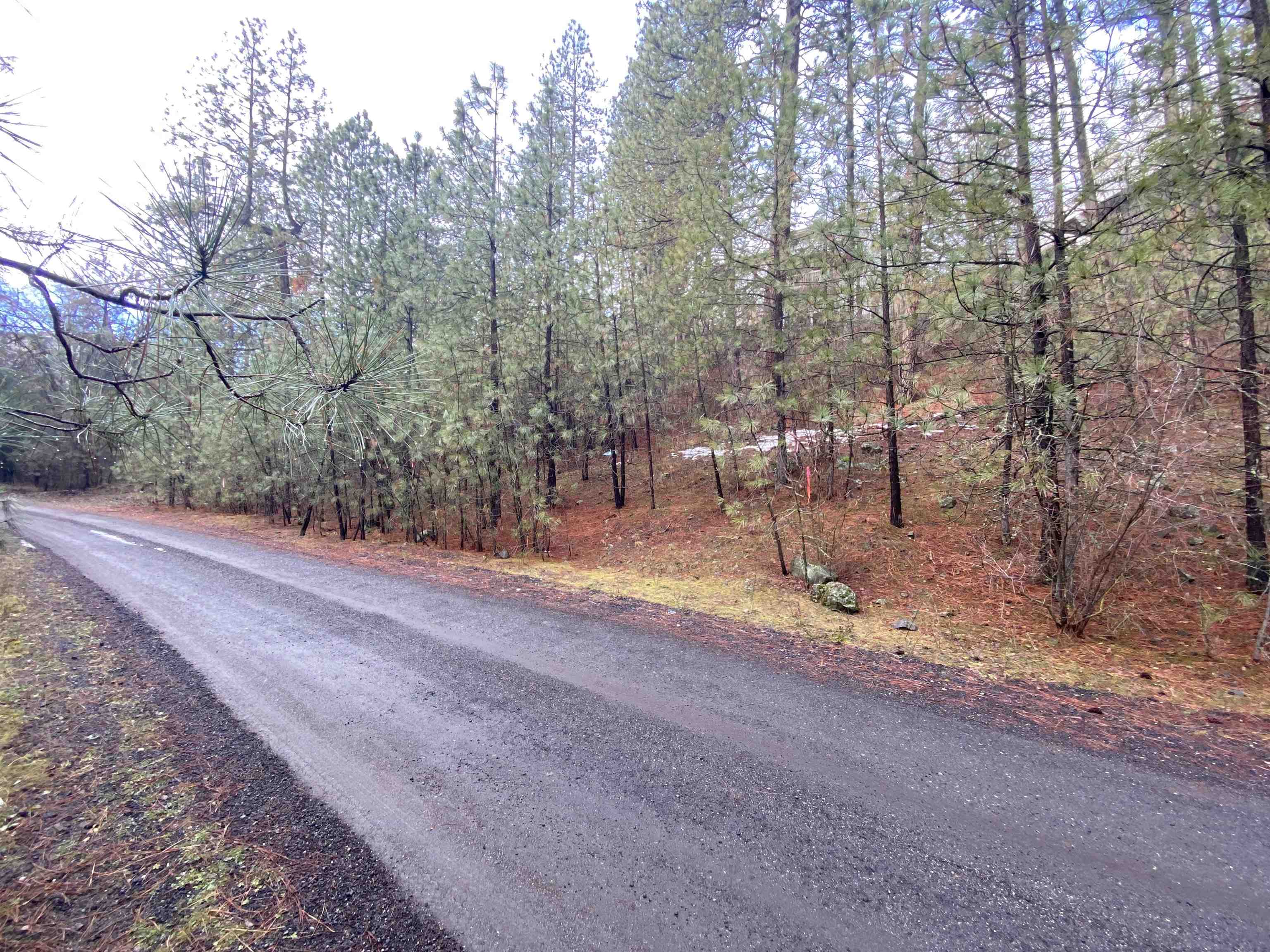 104X S Azalea Dr - Photo 2