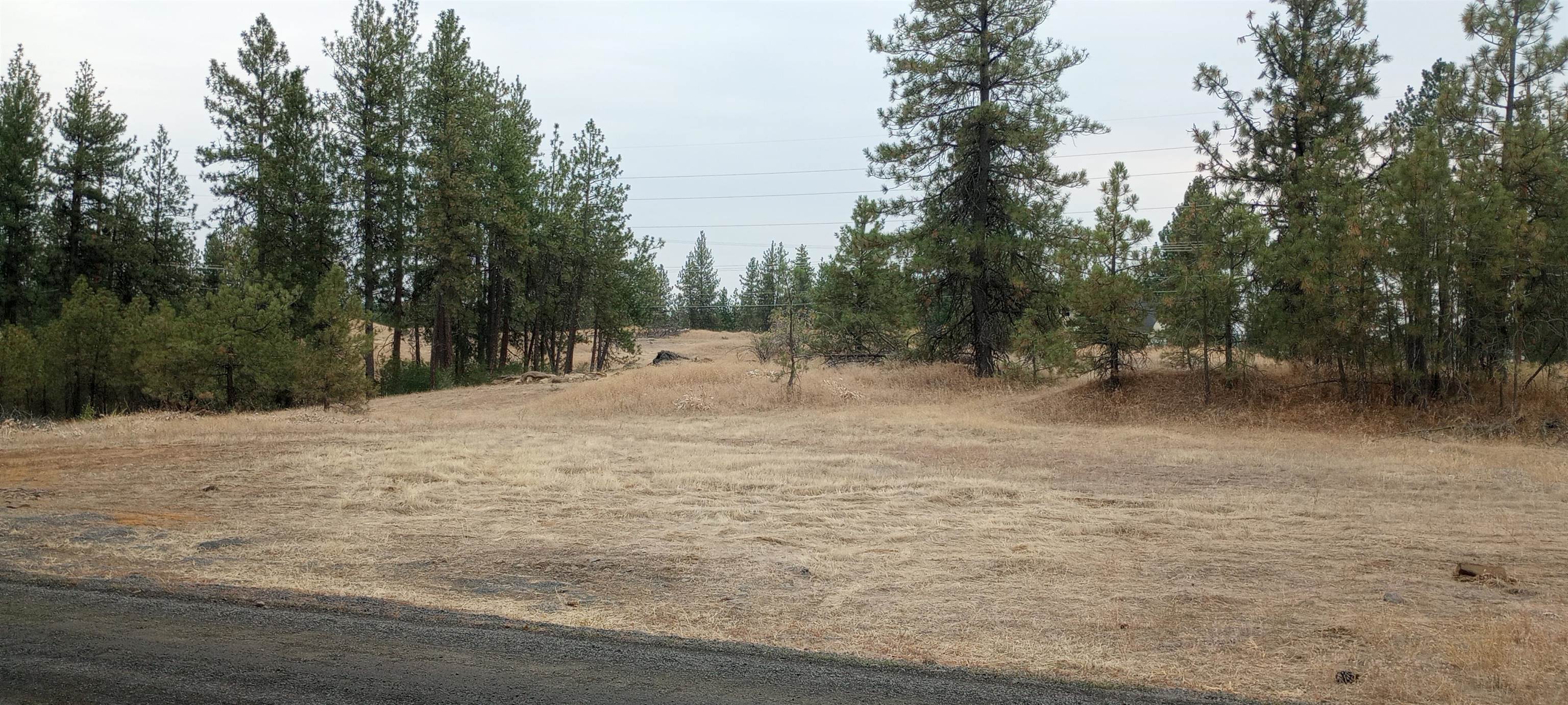 TBD W 28th Ave - Photo 1