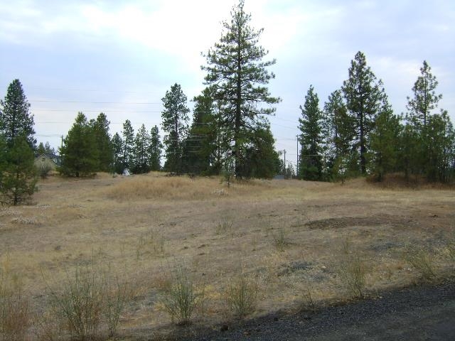 TBD W 28th Ave - Photo 2