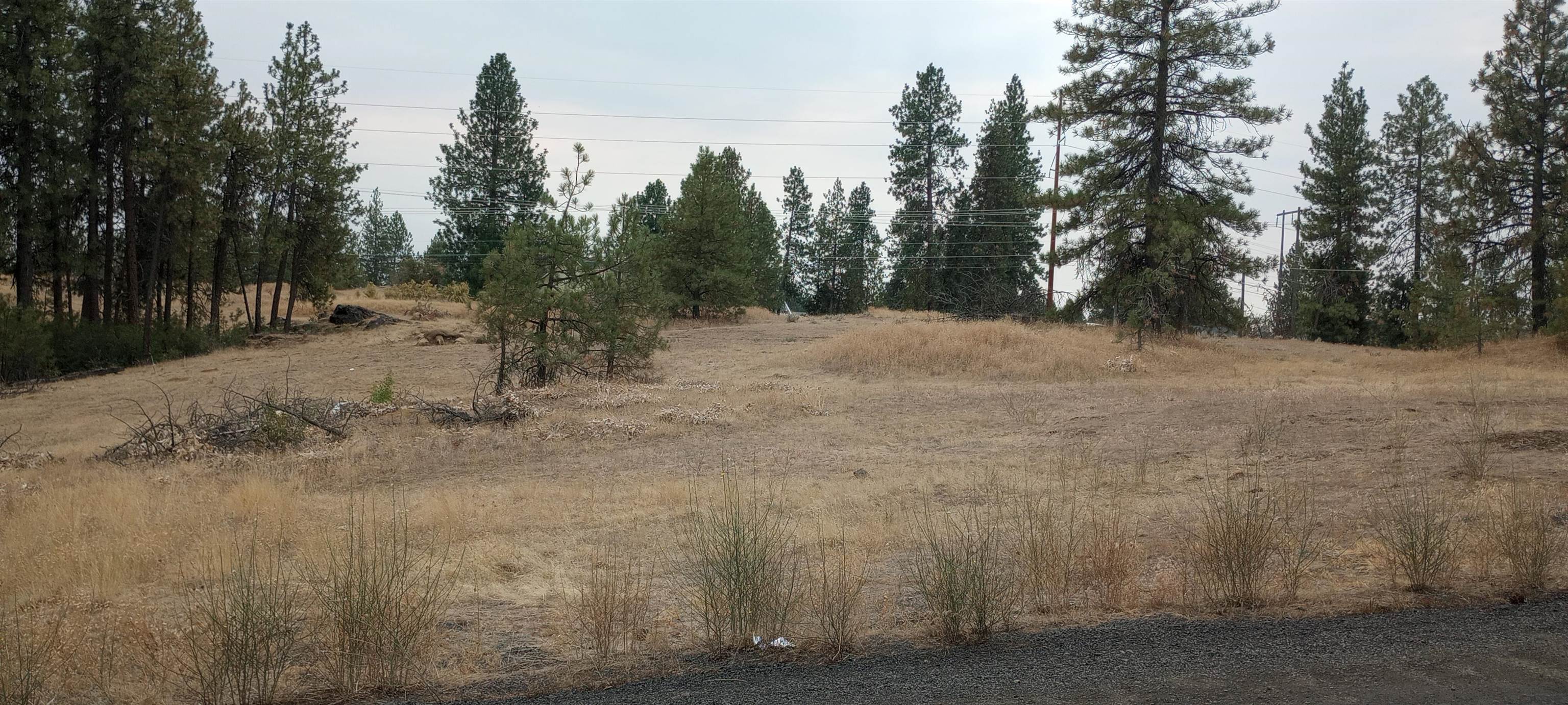TBD W 28th Ave - Photo 3