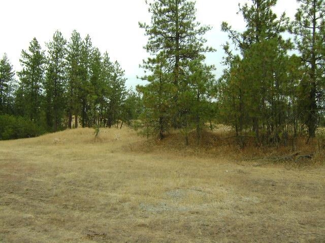 TBD W 28th Ave - Photo 4