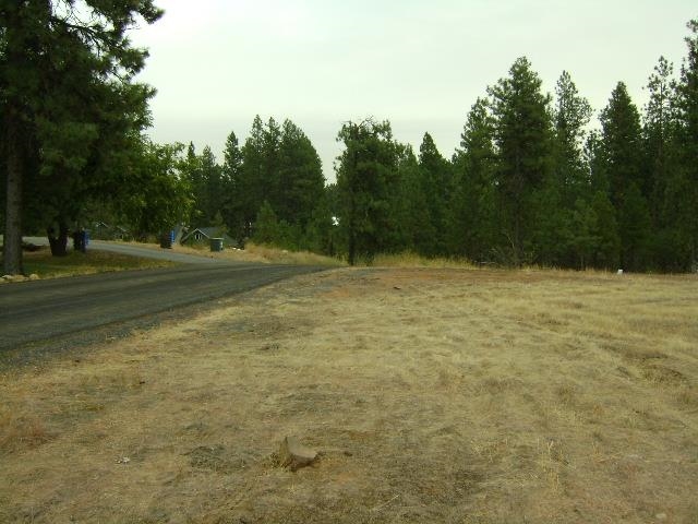 TBD W 28th Ave - Photo 6