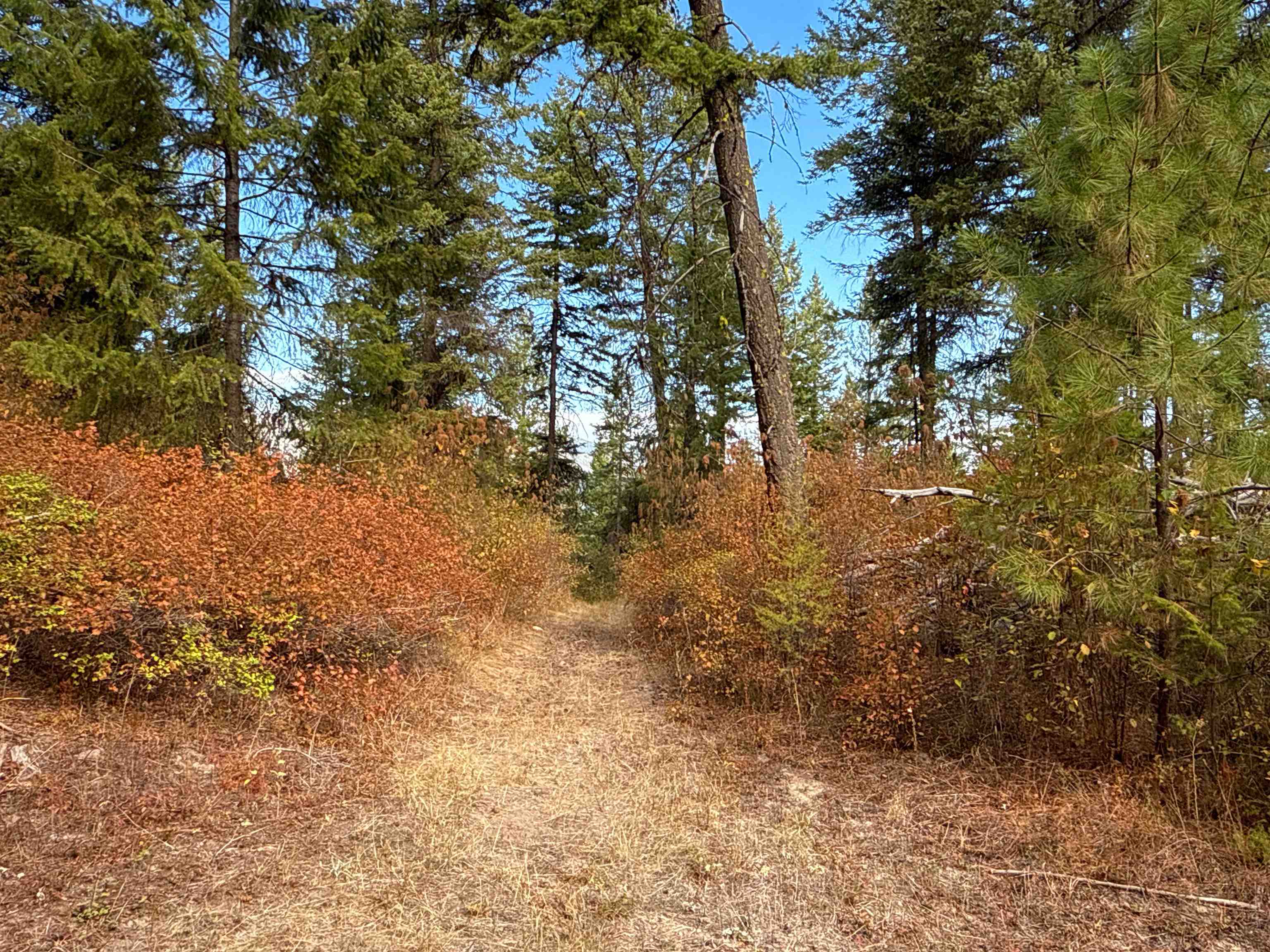755 Conrad Hill Way - Photo 11