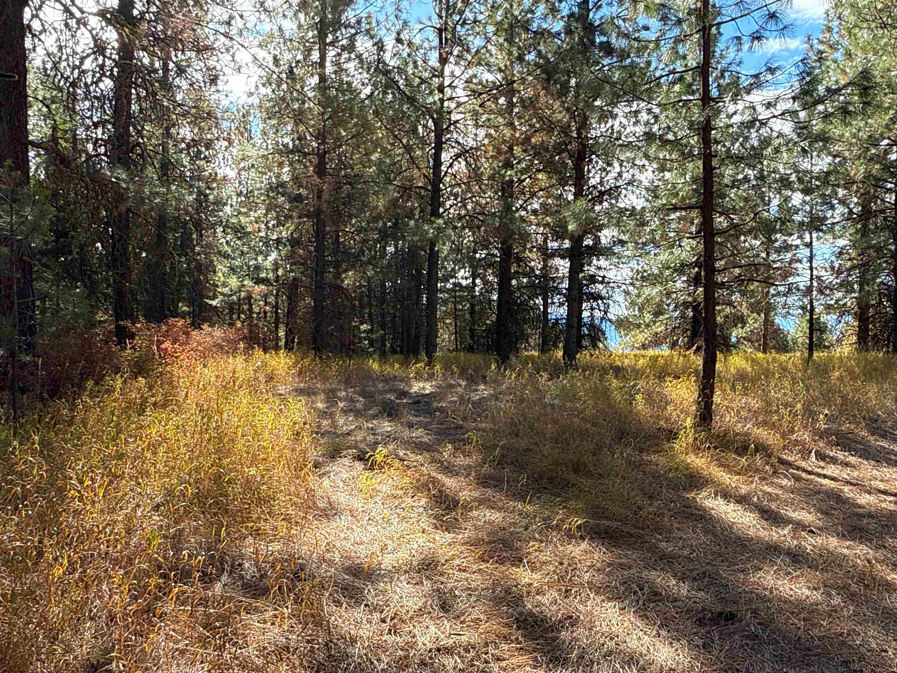 755 Conrad Hill Way - Photo 16