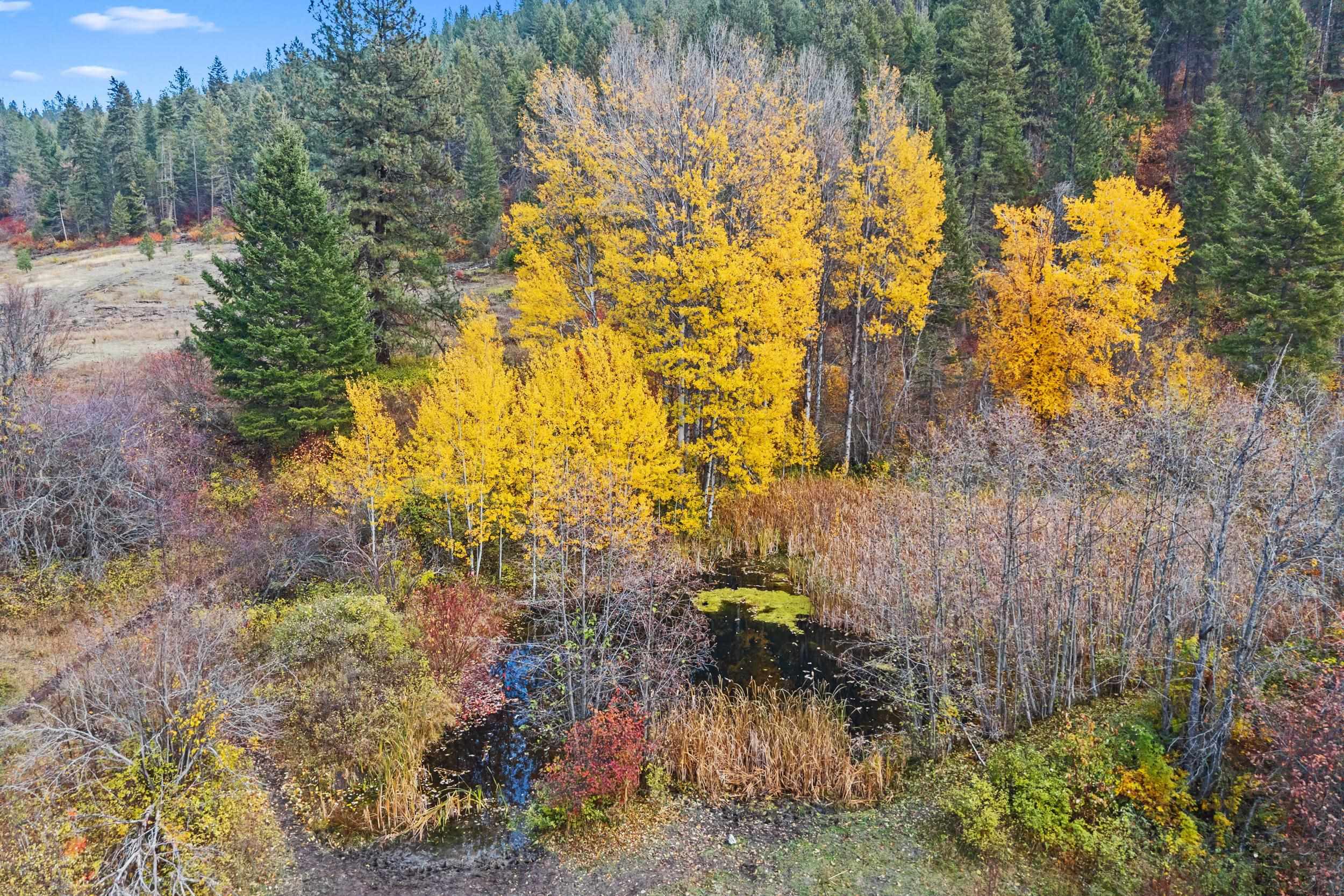 3115 Beardslee Rd - Photo 33